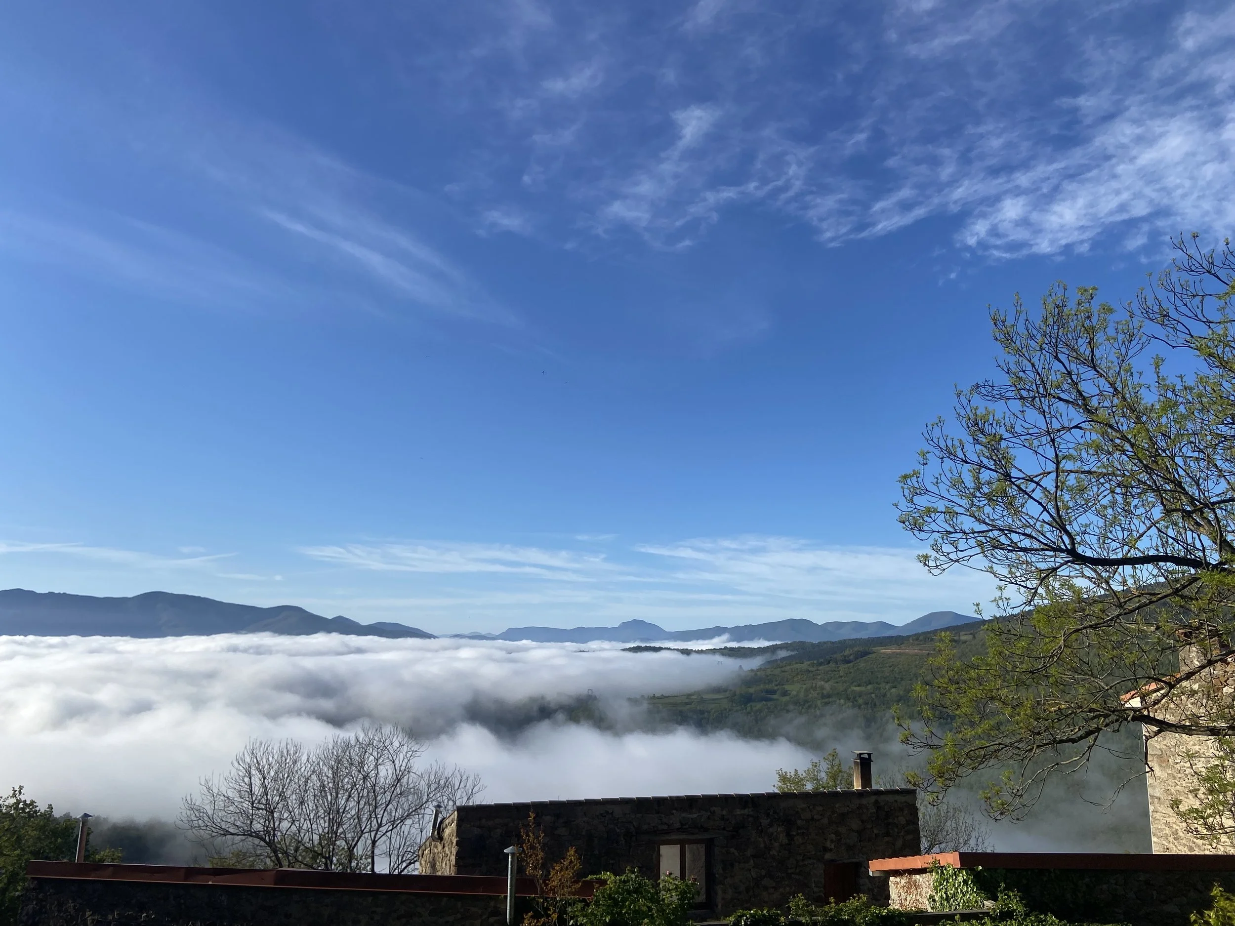 Scenic mountain view with clouds below, blue sky with wispy clouds, and trees with green leaves in the foreground.