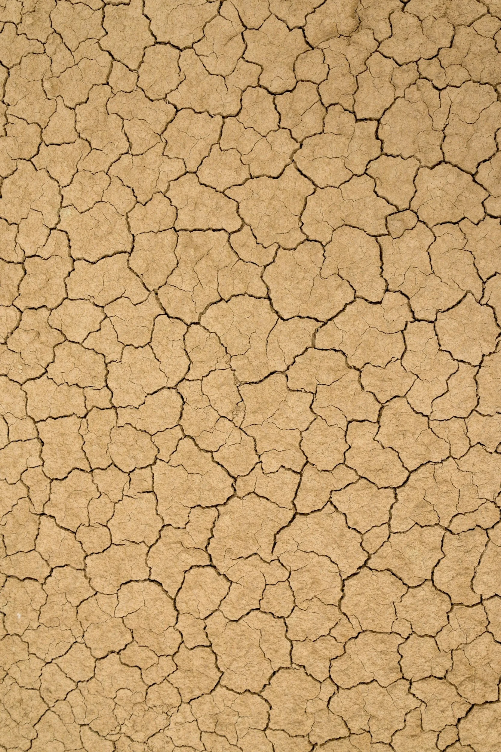 Close-up image of cracked dry earth with a beige color.