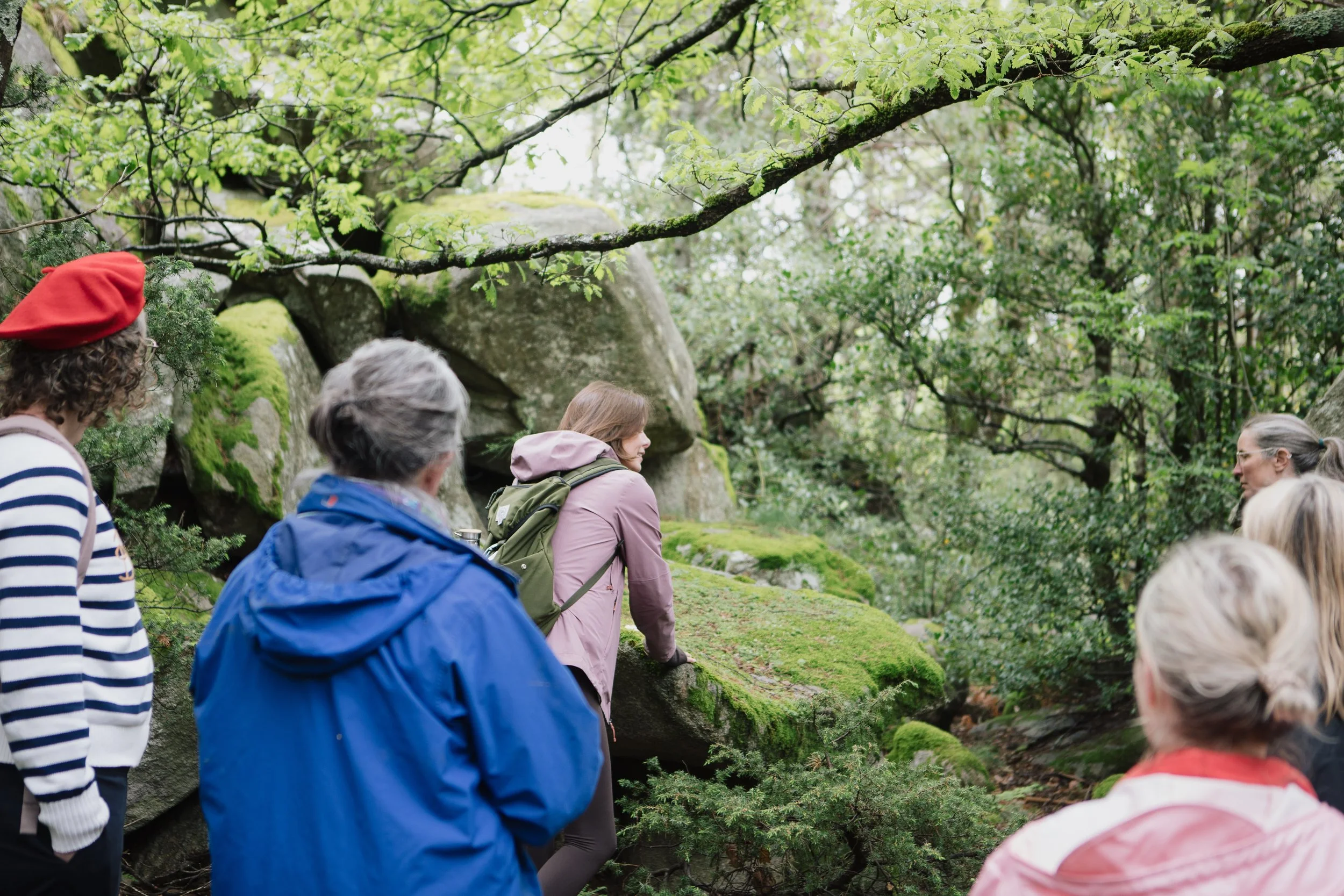 A group of people on a nature hike in a lush, green forest, standing near moss-covered rocks and trees.