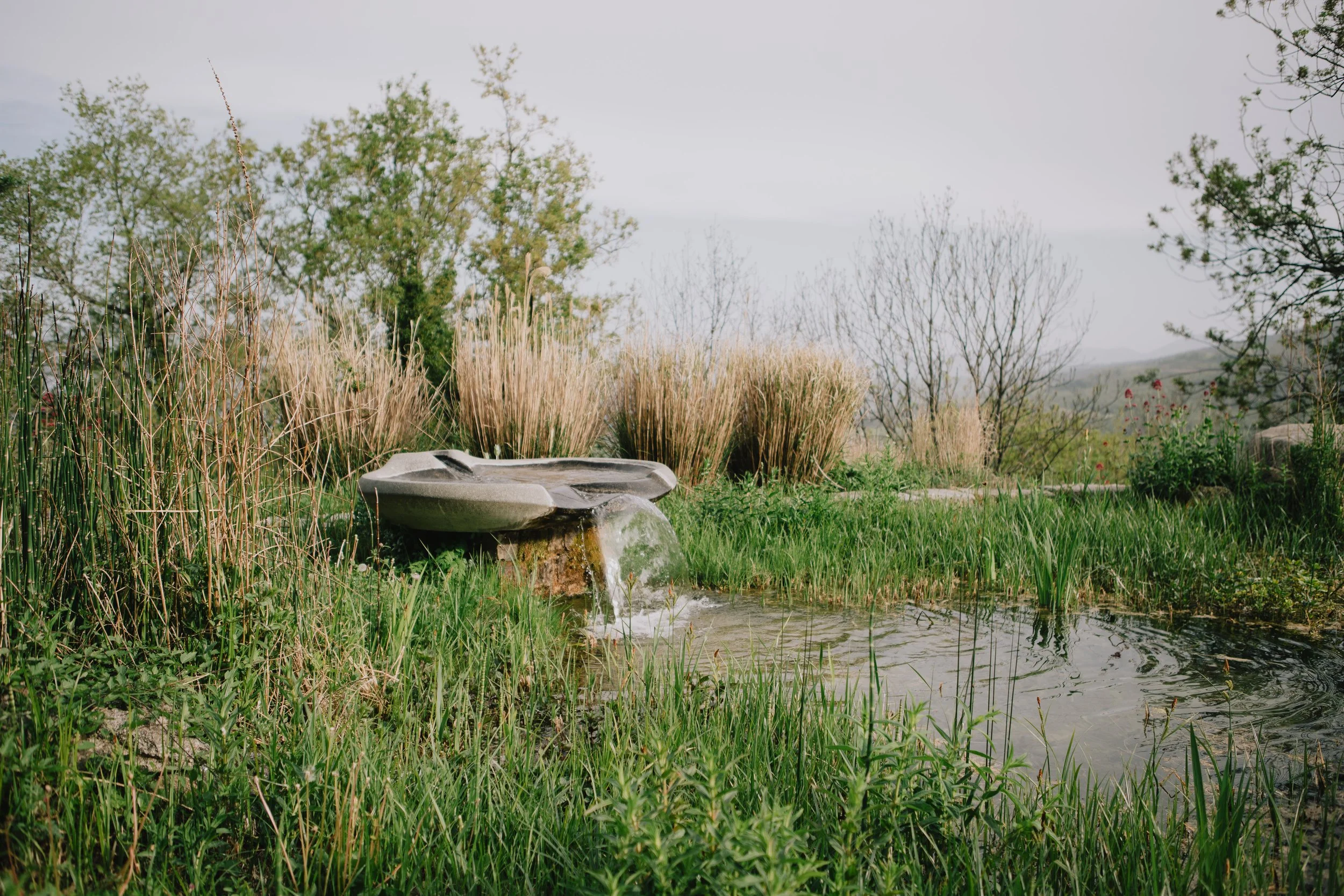 A stone birdbath with water flowing into a lush, green pond surrounded by tall grasses and trees in a garden.