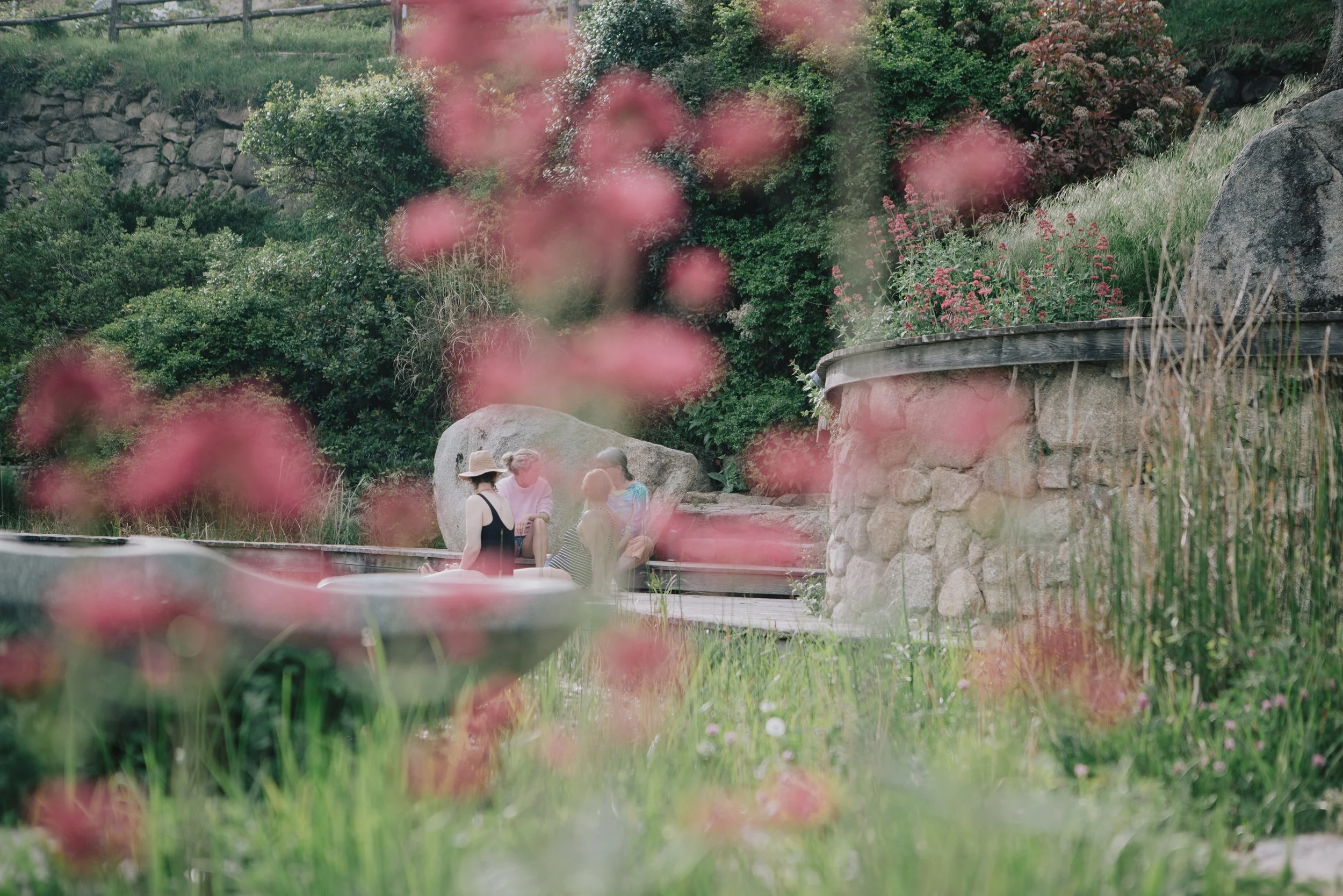 People sitting and talking outdoors among pink flowers, with green trees and rocks in the background.
