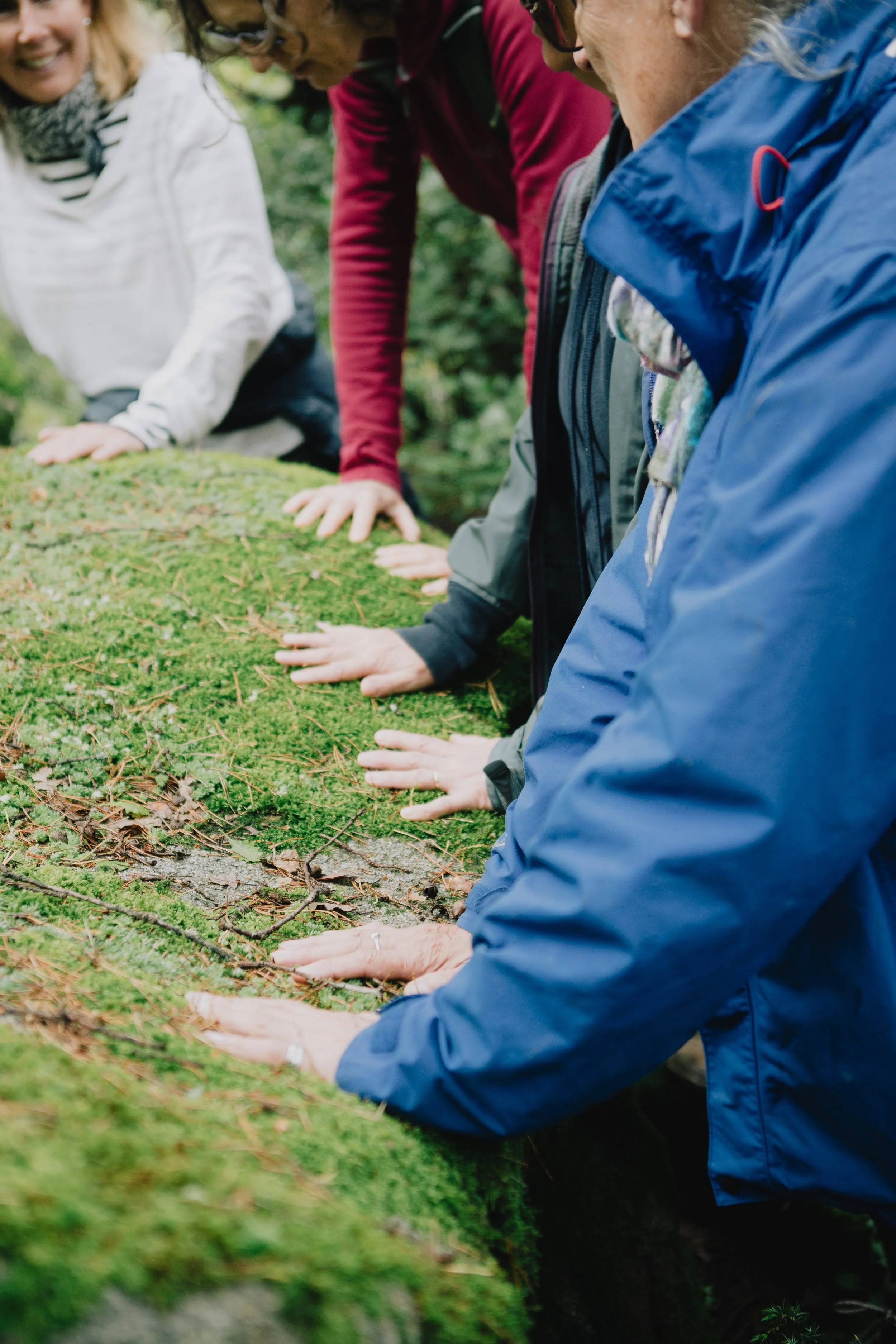 Group of people outdoors with their hands on a moss-covered log in a forest.