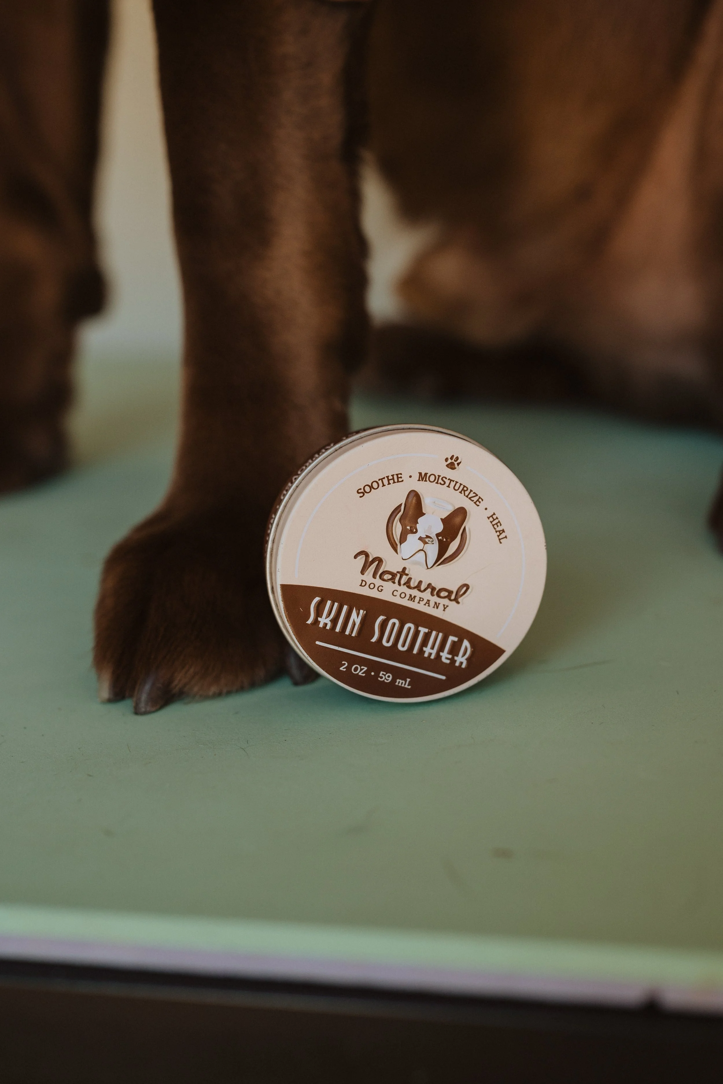 Driftless Dog Spa -21_Original.jpeg