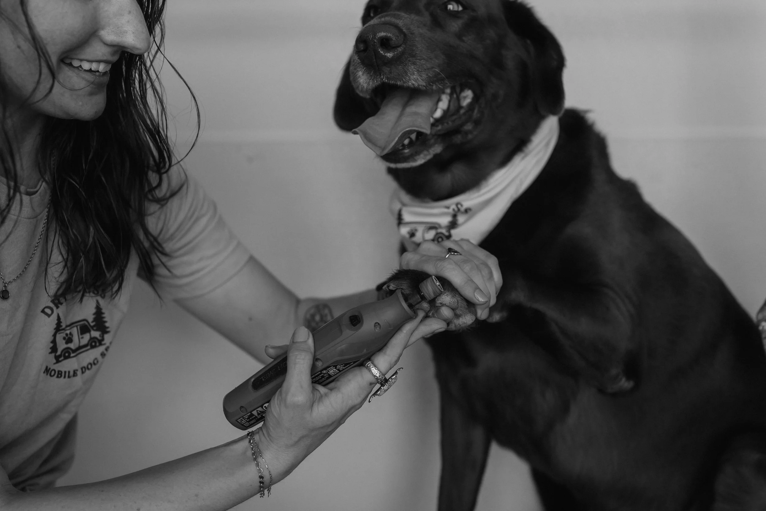 Driftless Dog Spa -26_Original.jpeg