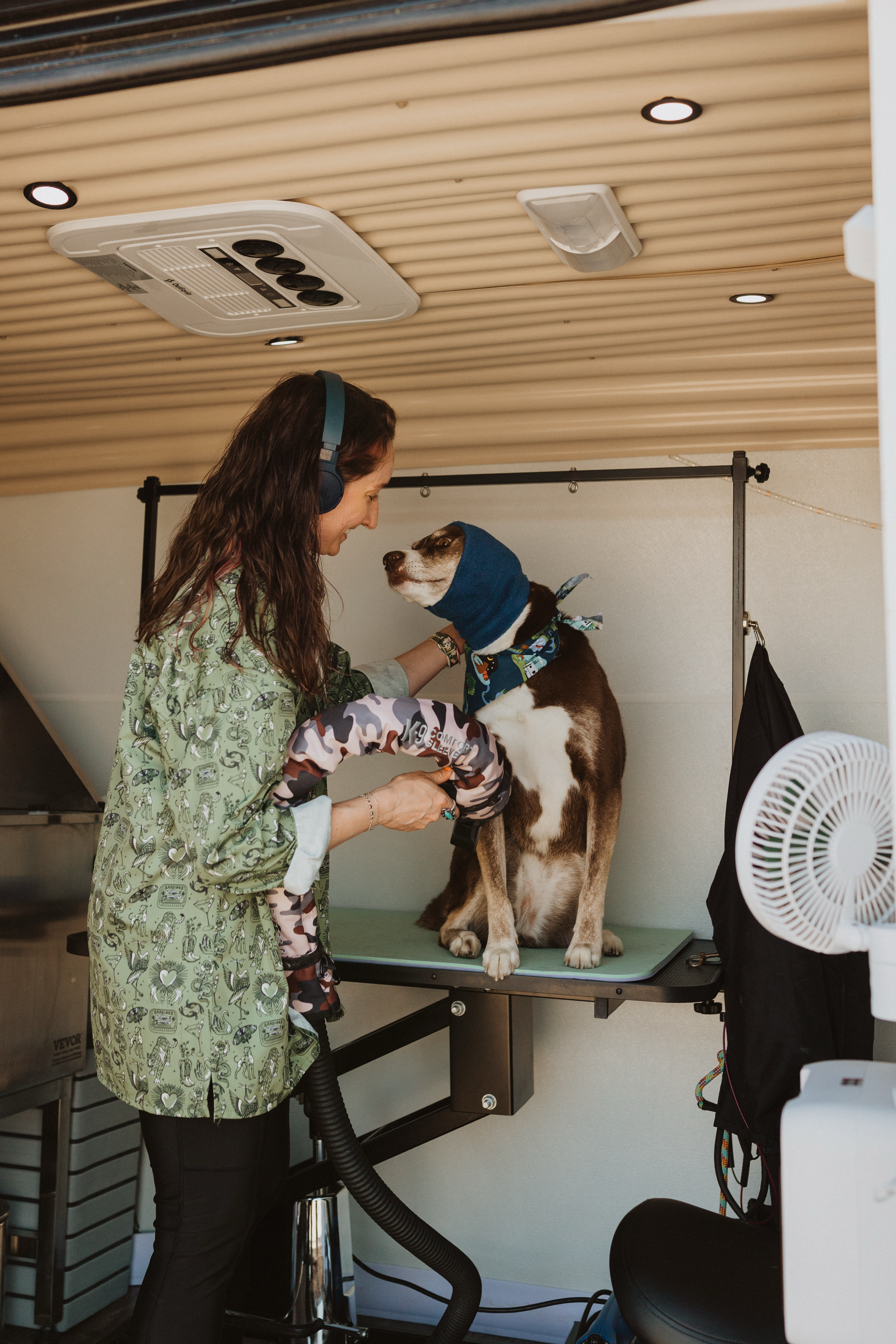 sneaks- dog spa-10.png