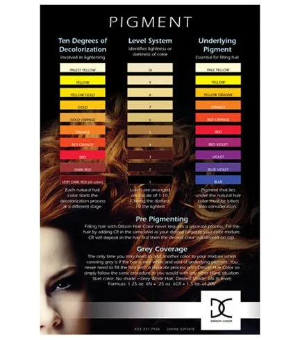 131201319335543_PigmentPoster_web.jpg