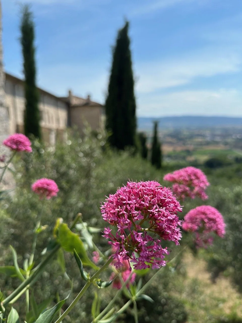⁨Piazza Santa Chiara⁩, ⁨Assisi⁩, ⁨Umbria⁩, ⁨Italy⁩_8753.jpeg