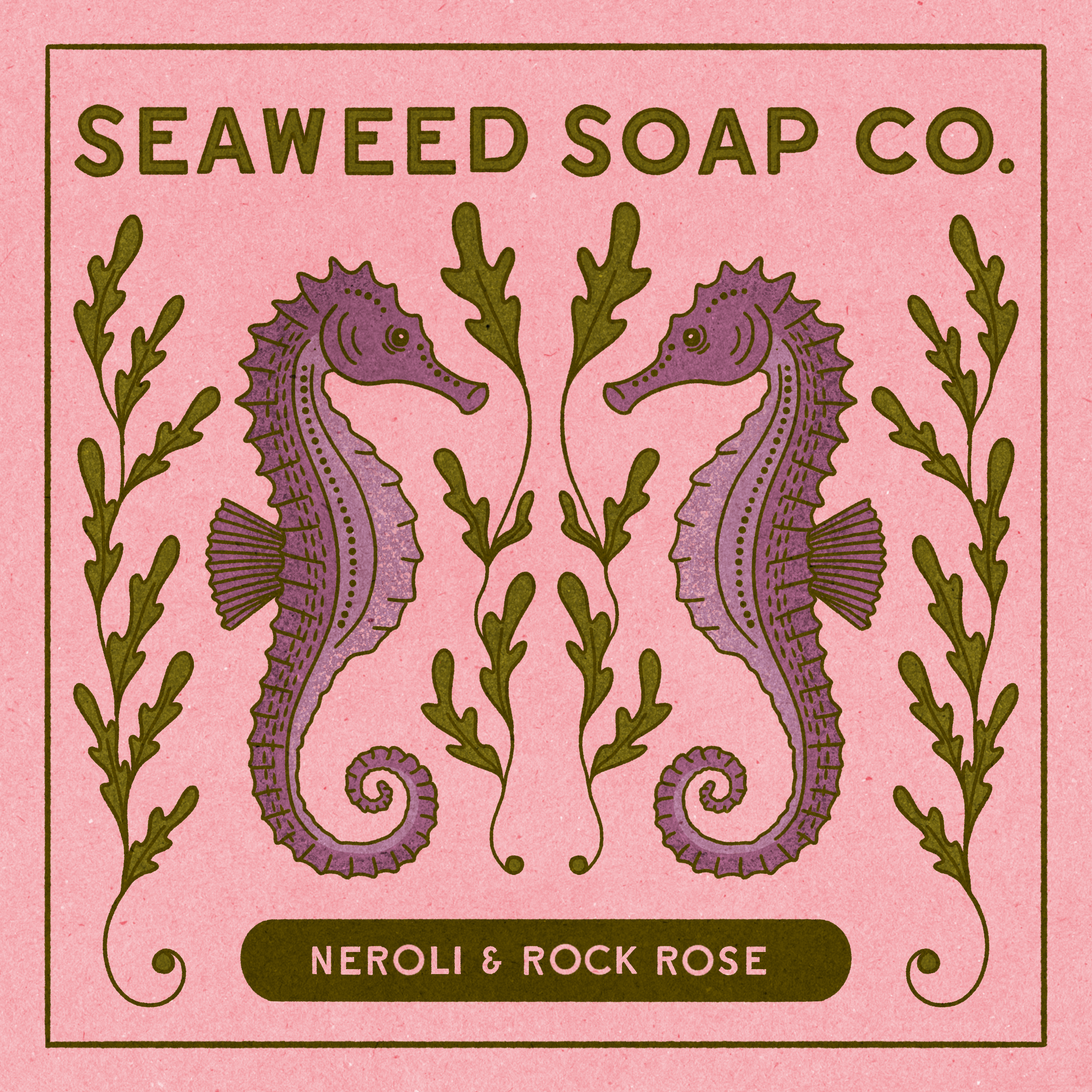 seahorse_soap 4.png