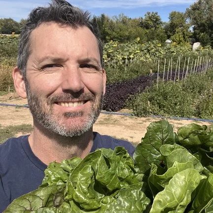 About our ingredients