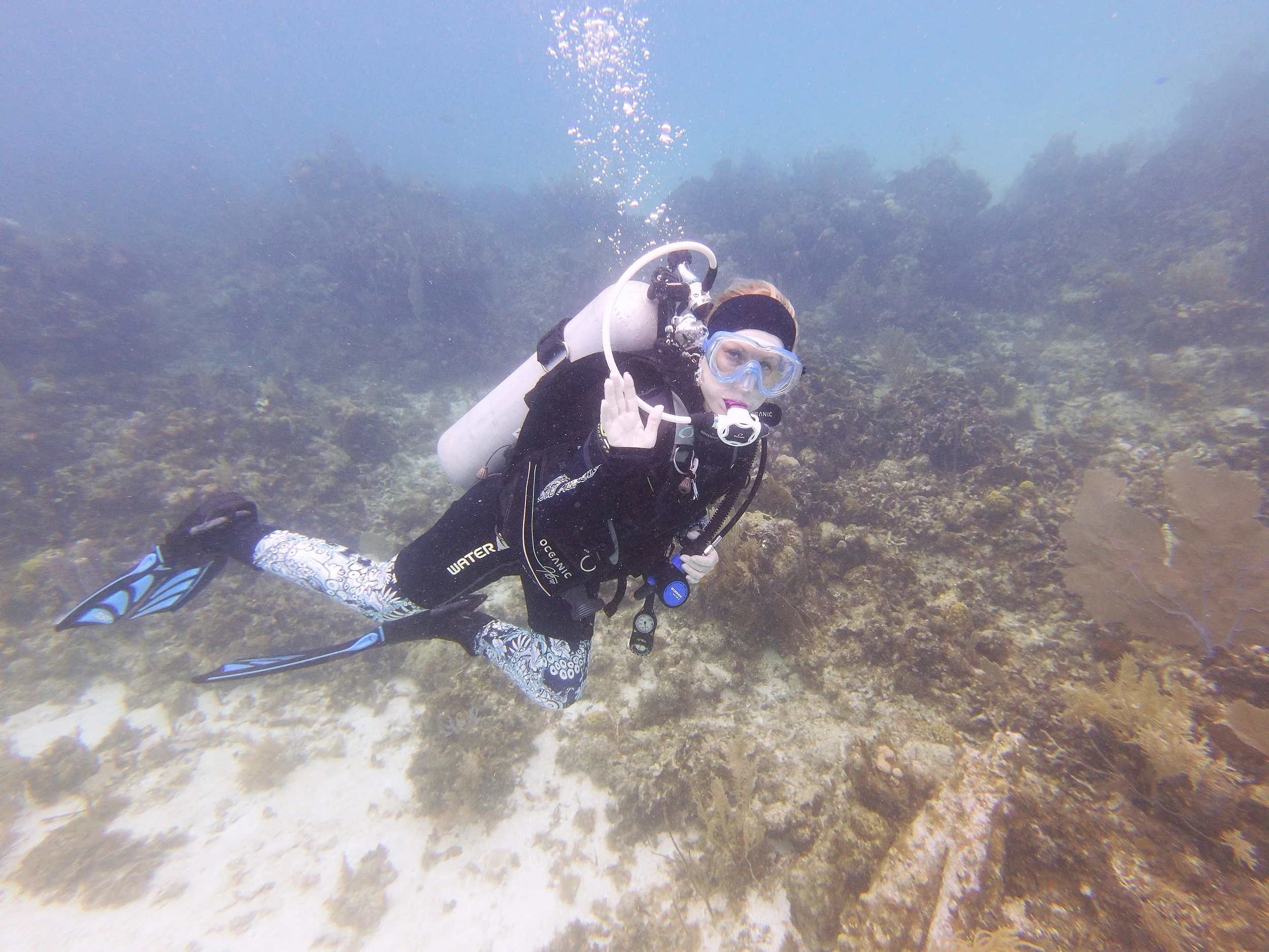 Donate - Sponsor a Trip or Diver Training