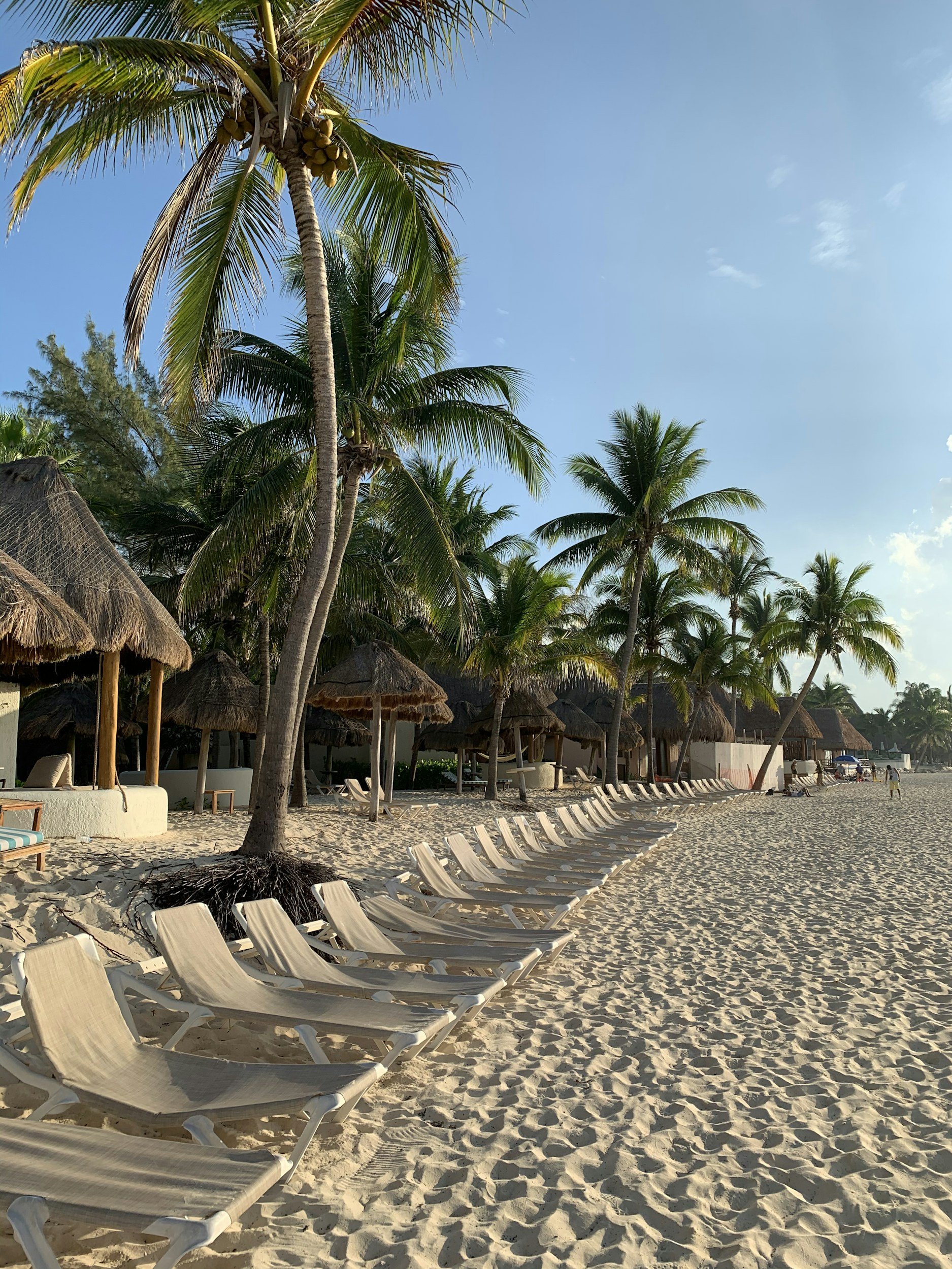 Empty beach with loungers, palm trees, and thatched-roof huts on sand.