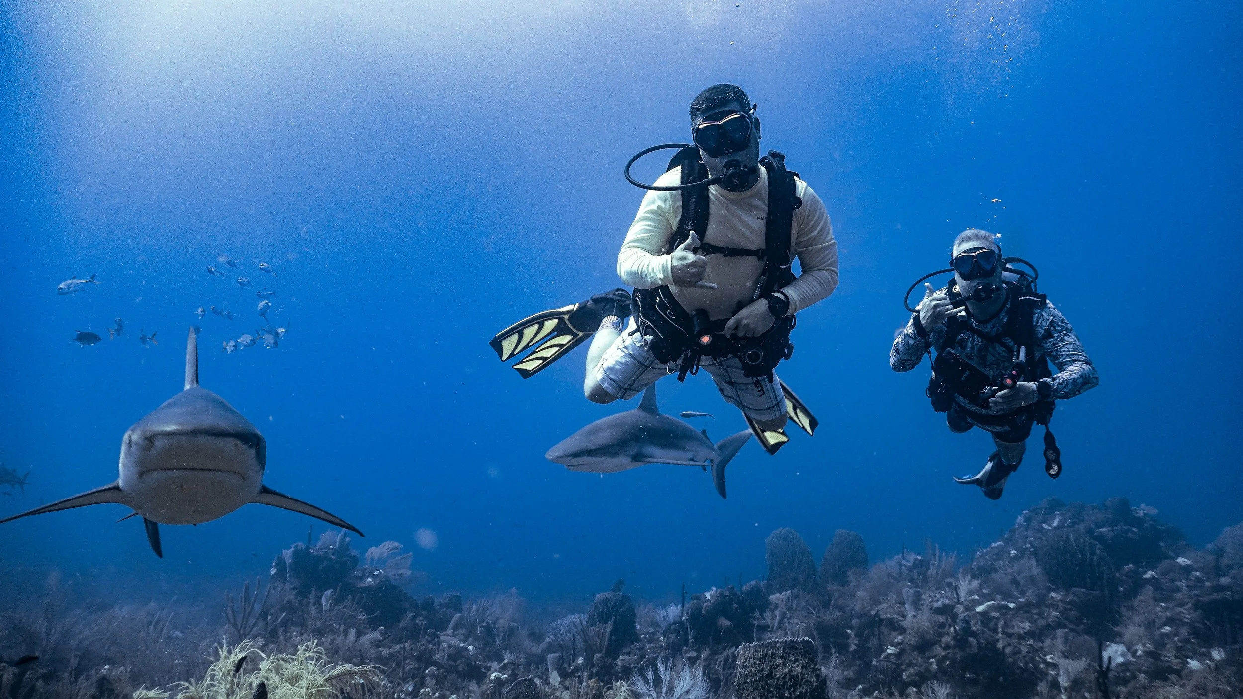 WELCOME to THE DIVE WITHIN