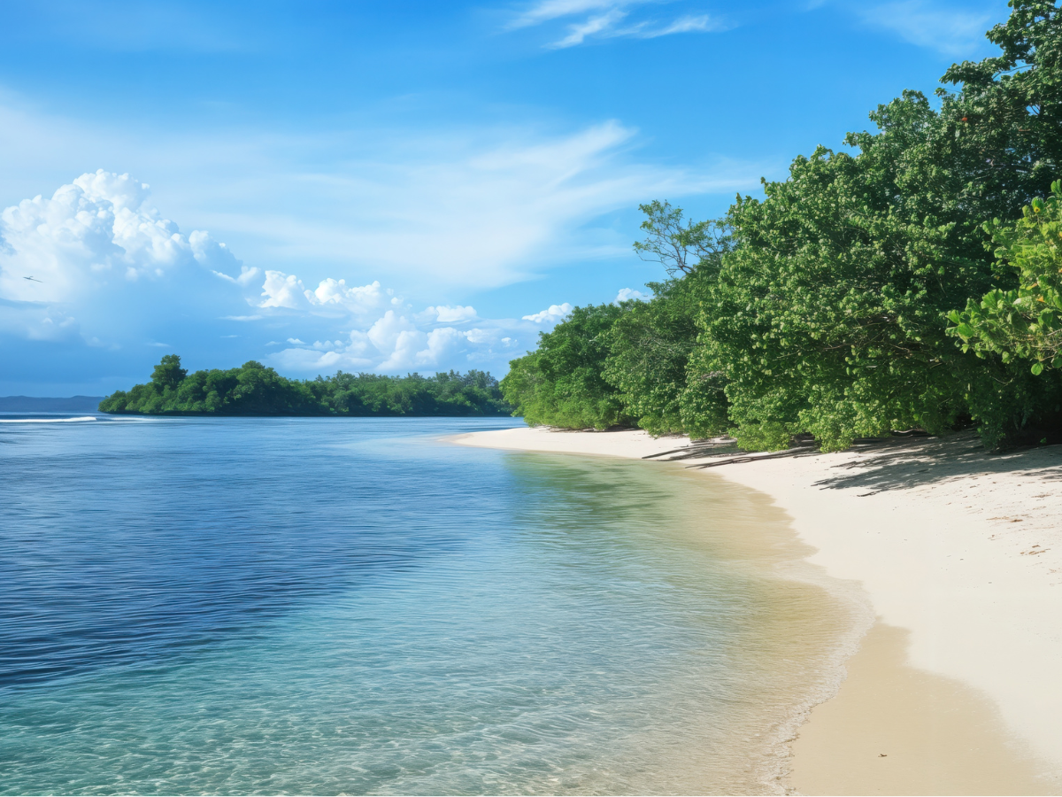 Sandy beach landscape