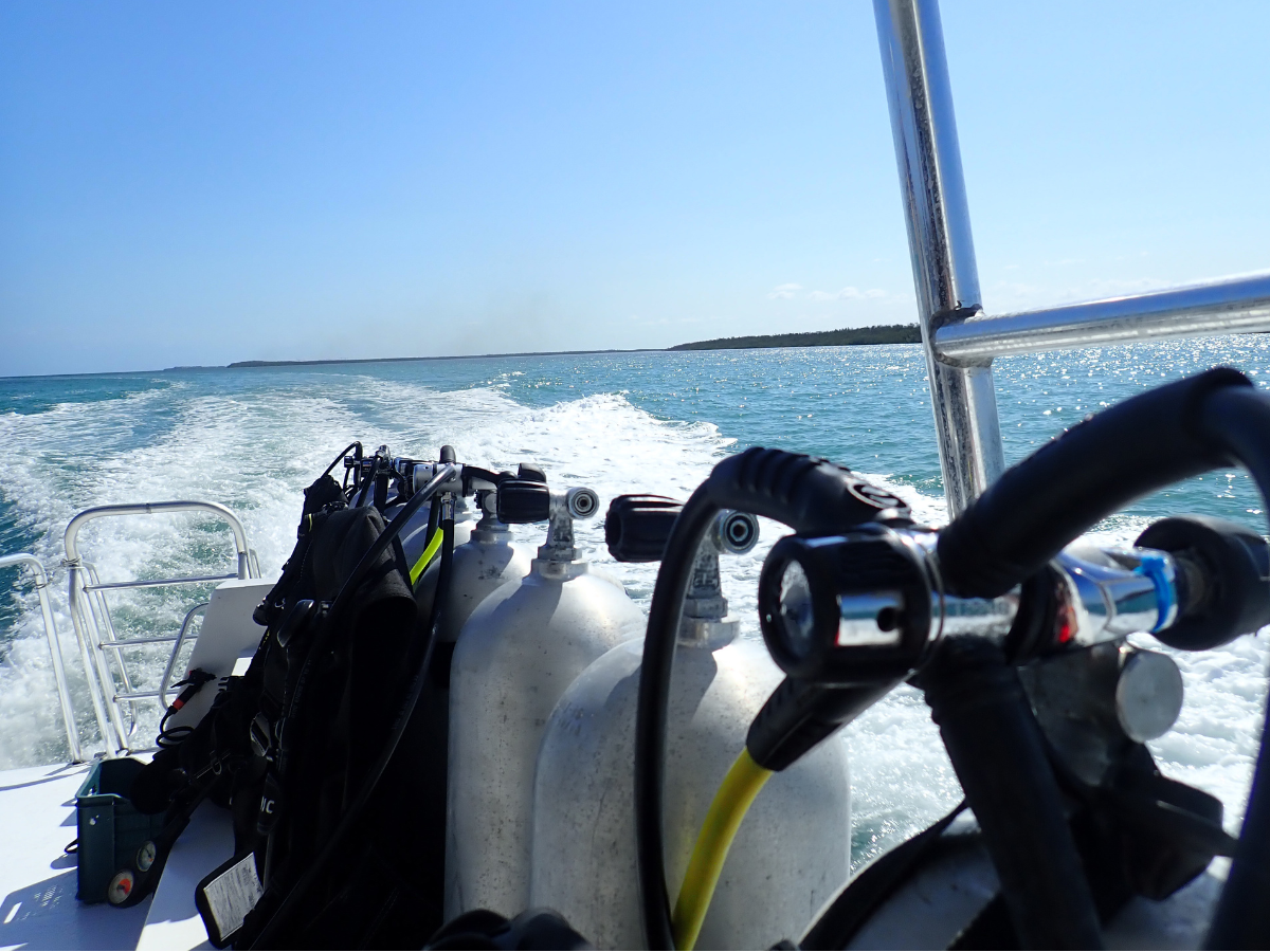 View from the back of a boat with scuba tanks, gauges, and equipment, traveling across the water with a distant shoreline under a clear sky.
