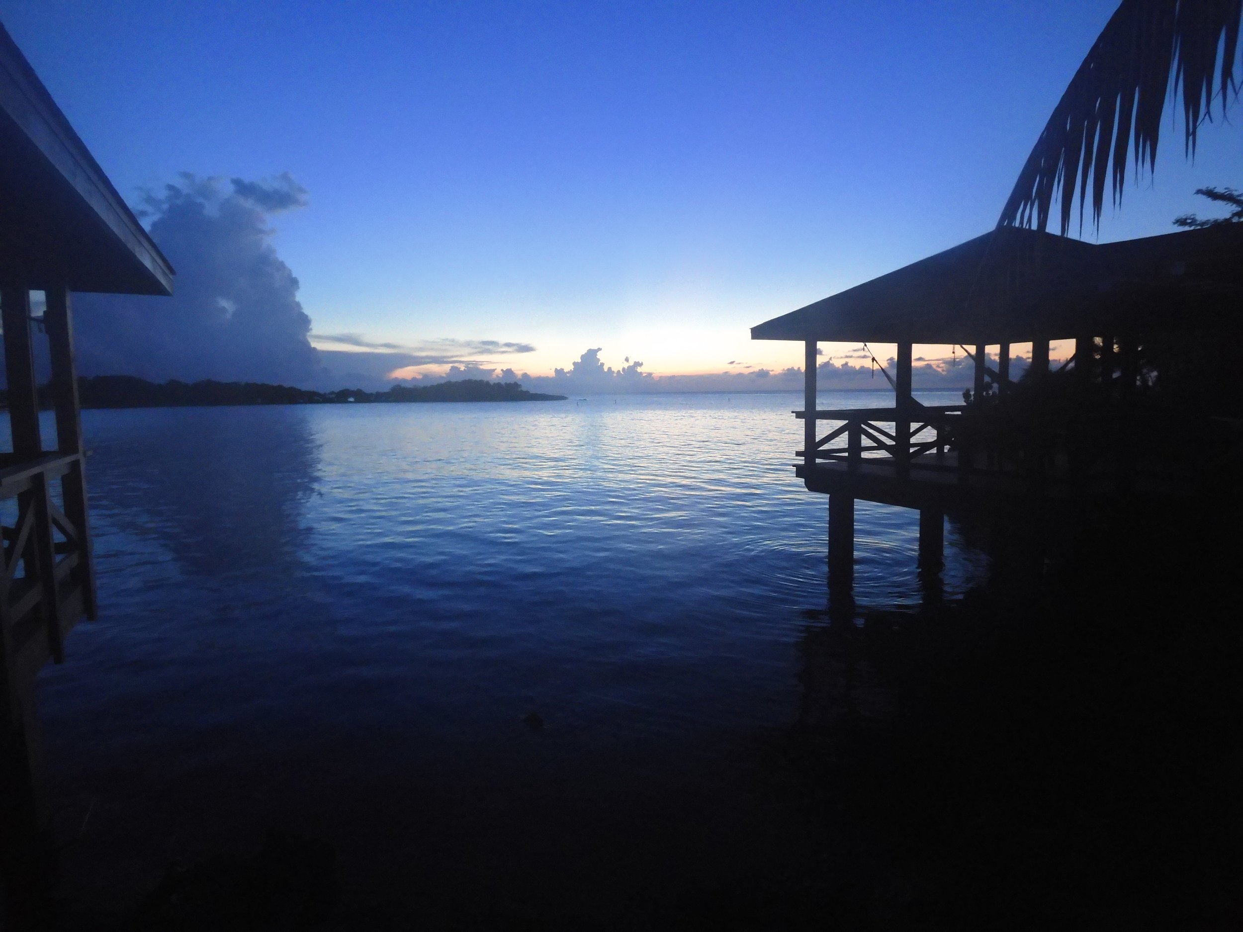 Why Dive for Recovery - Ocean Scenery