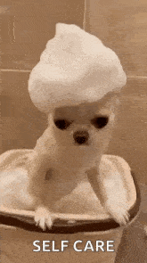 Gif of a white Chihuahua in a dog bath tub with bubbles on its head. The words "self care" are at the bottom.