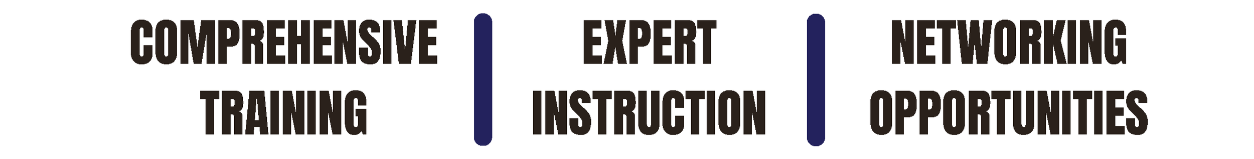 Text graphic with three columns: "Comprehensive Training"; "Expert Instruction"; "Networking Opportunities," separated by vertical bars.