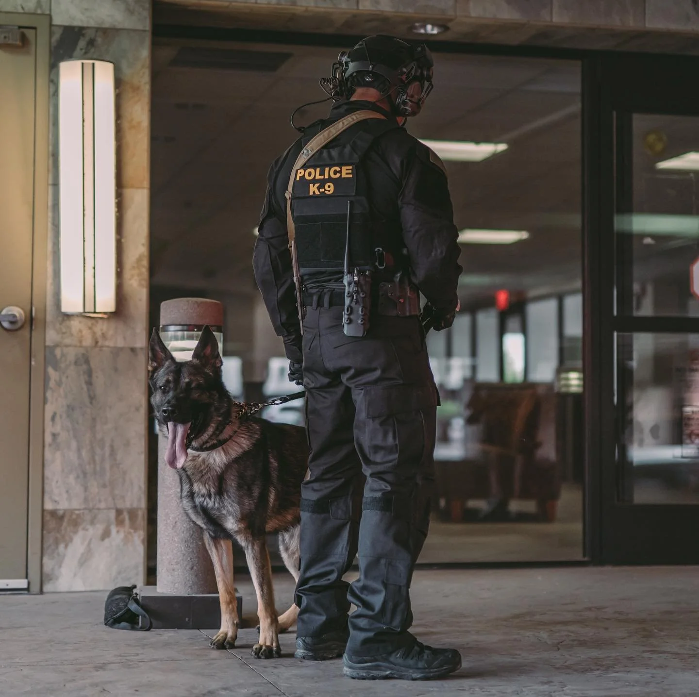 A police officer in tactical gear, labeled 'POLICE K-9', standing with a German Shepherd police dog outside a building entrance.
