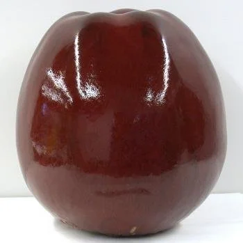 Ulla Kraitz; Red Apple, 2000; 2001.8 A-B; Apple: 19" h x17"d; Base: 19.75" square x 1.5" deep; Gift of Gustav and Ulla Kraitz