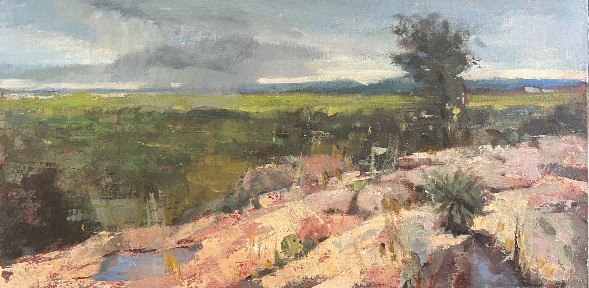 Passing Storms (det) by Nancy Tankersley, 2026