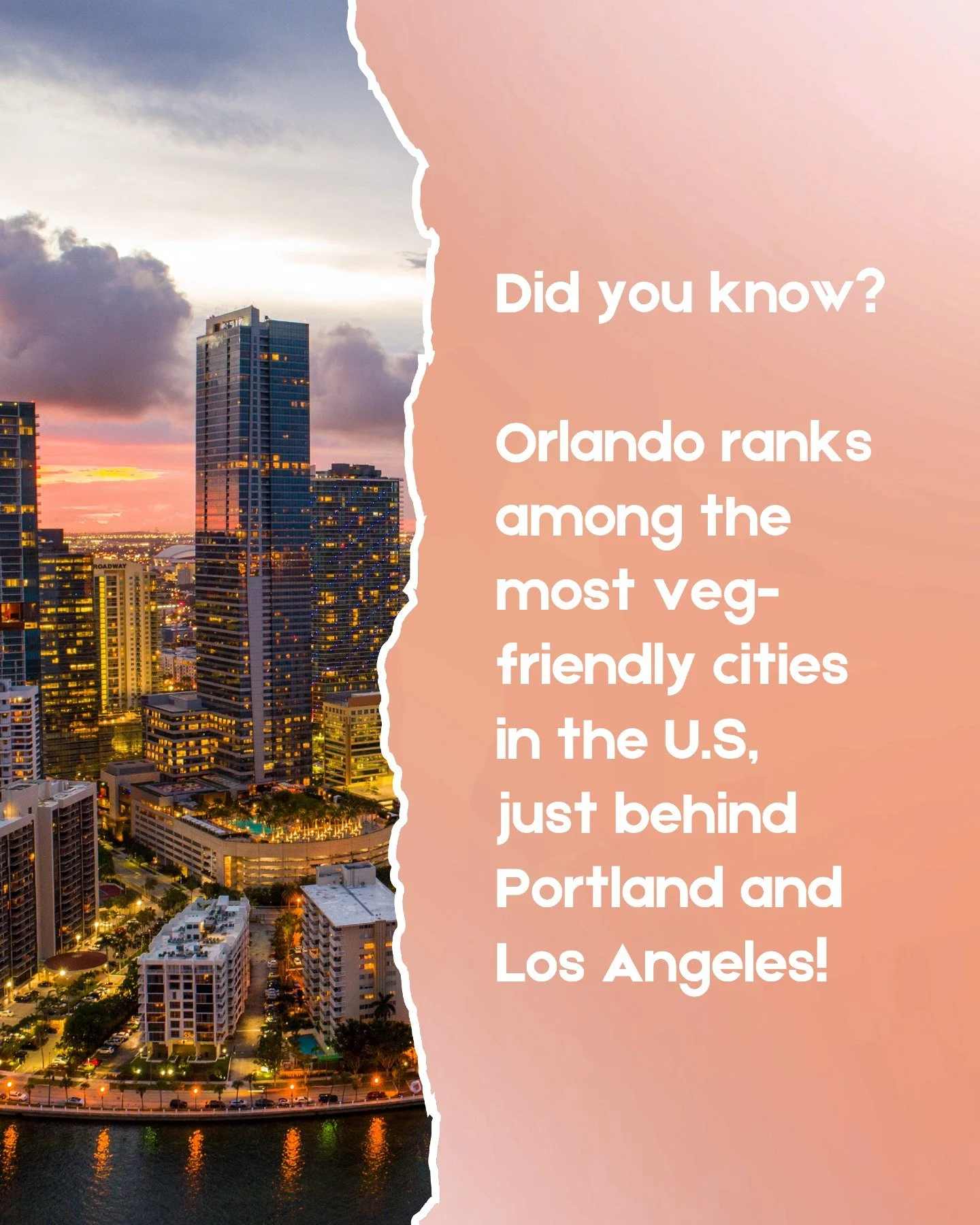 America is going plant-forward—and our menus should be, too.
Orlando ranks among the most veg-friendly cities in the U.S., yet many menus still offer only one plant-based main, or a “side-plate option”. Meanwhile, national data sho
