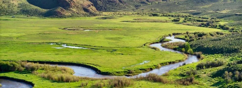The Animas river flowing through lush green fields in Durango Colorado surrounded by hills. Vacant land appraisal available.