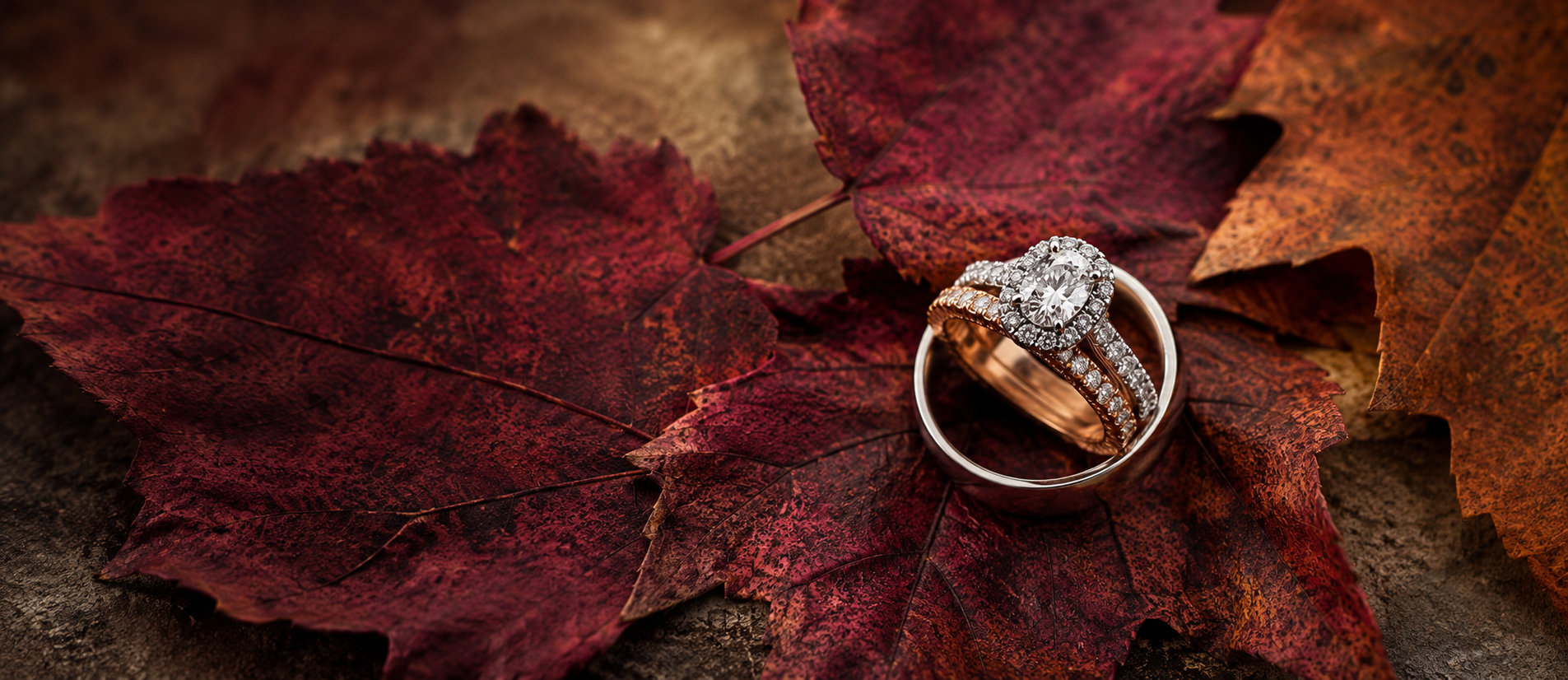 Wedding Ring Set Image Fall 2026