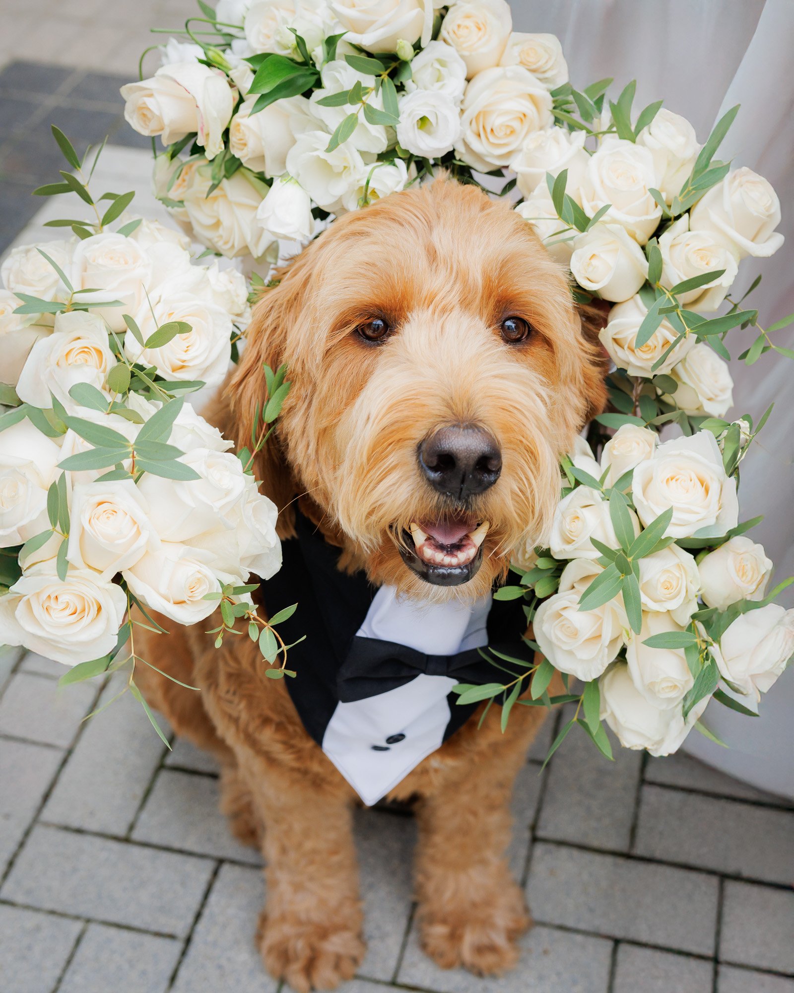 Antonia Giroux Photography-Weddings