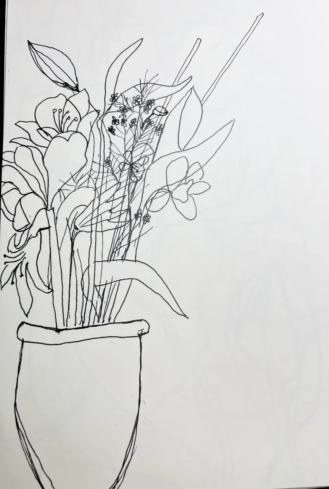 Black and white floral sketch by Sarah Waters