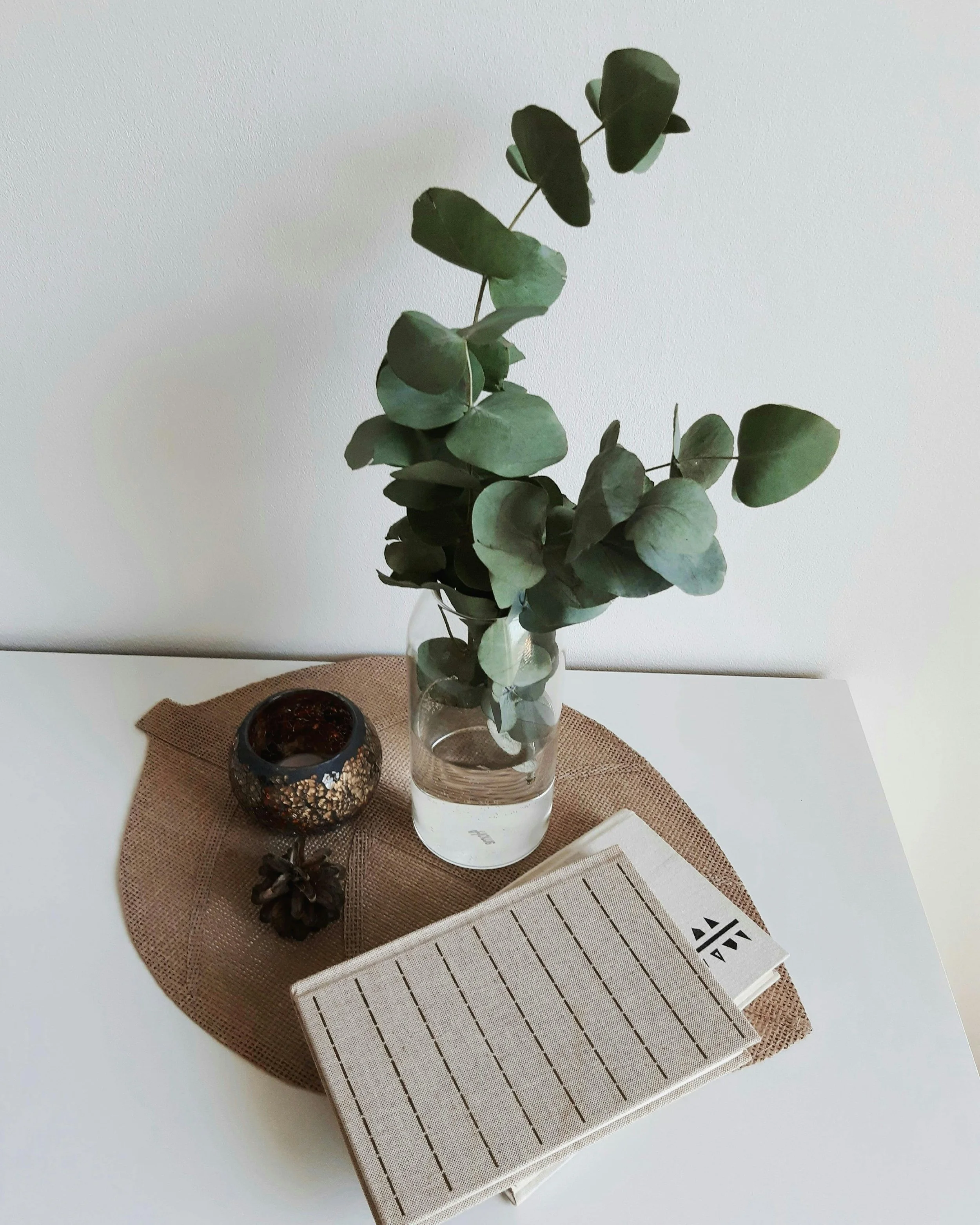 Plant on a desk in a calm therapy space, representing safety and support for healing from childhood abuse