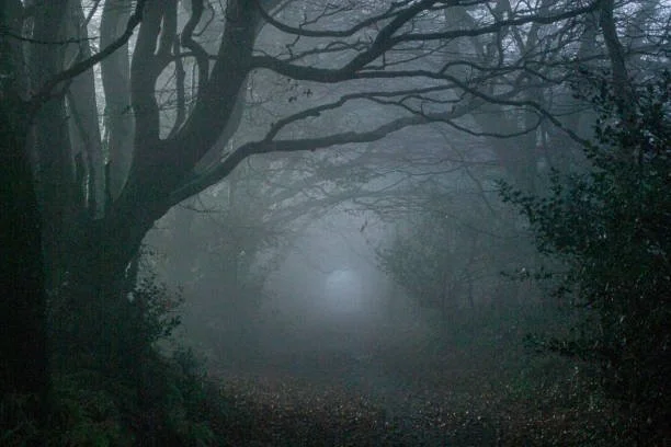 Hay Festival Writing Workshop: Don’t Go Into the Woods at Night!