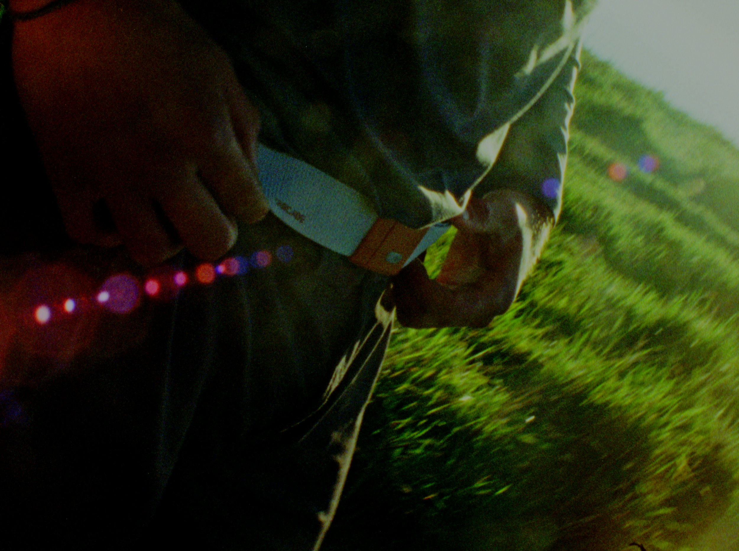 'Have You Forgotten' for Arcade Belts