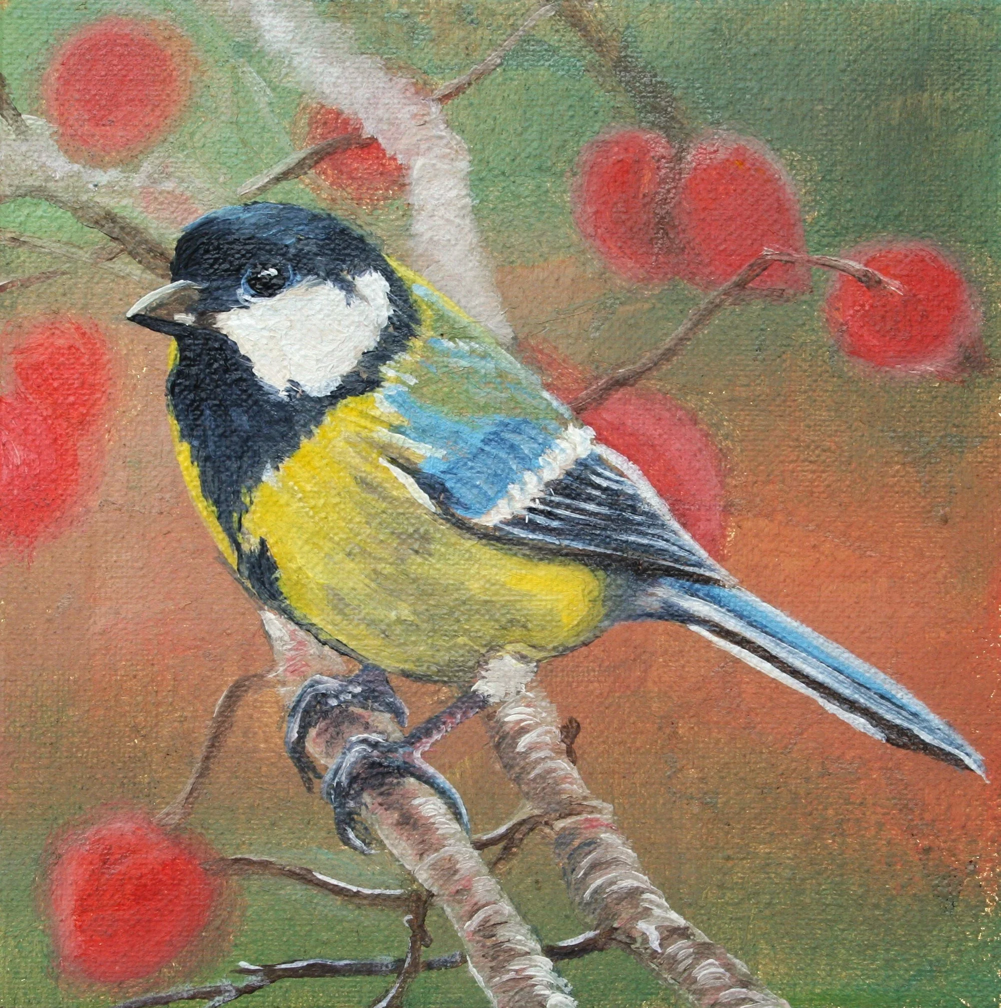 Great Tit 2.jpg