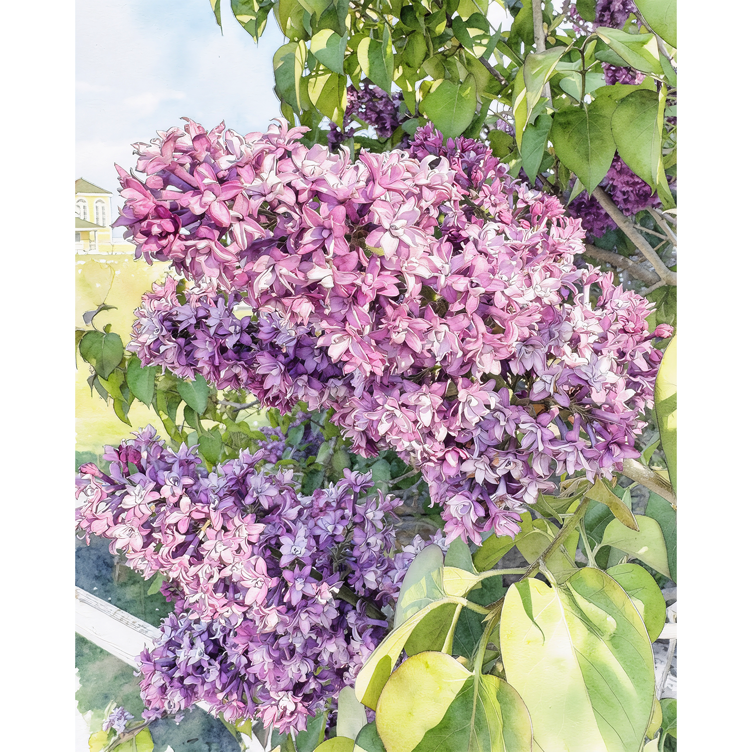 Lilac Light - Mackinac Island Paint-By-Number Kit