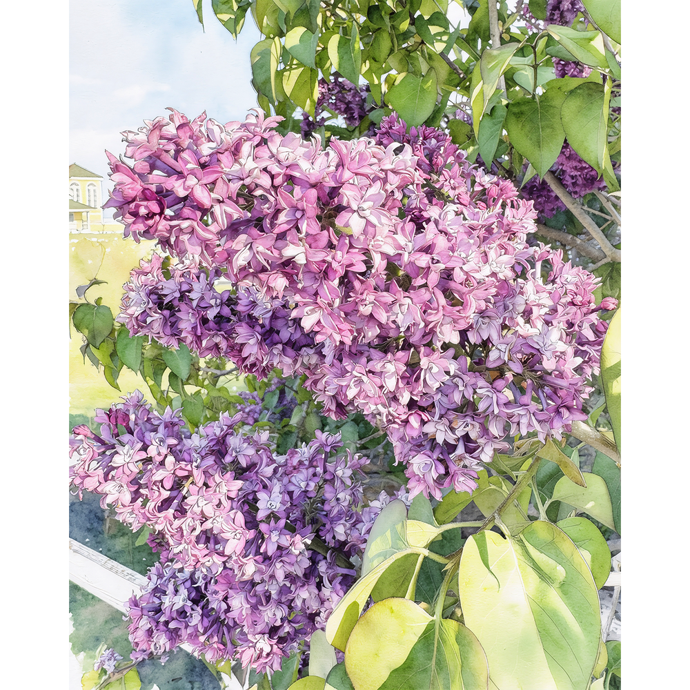 Lilac Light - Mackinac Island Paint by Number Kit | Mitten