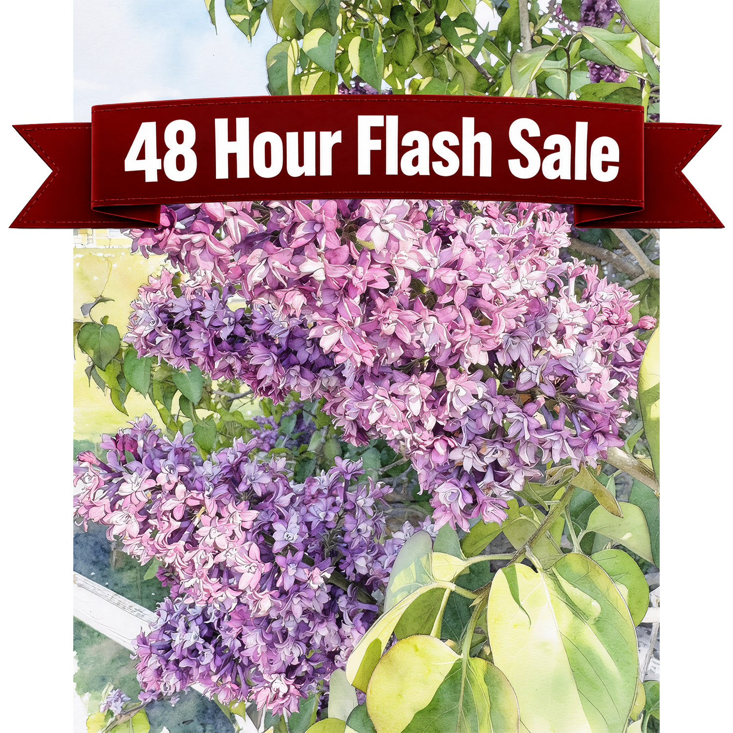 Lilac Light - Mackinac Island Paint-By-Number Kit