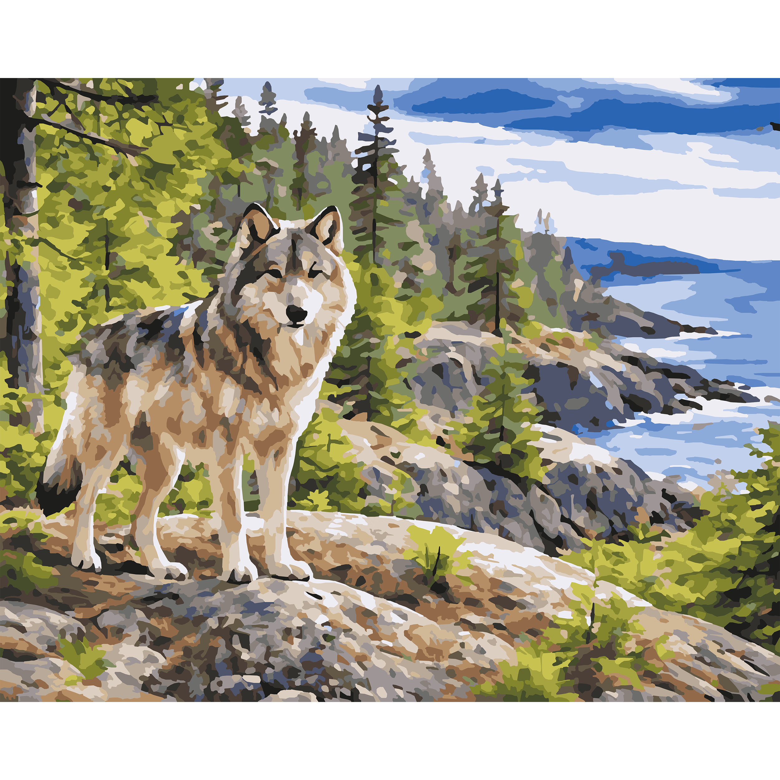 Gray Wolf Above Lake Superior Cliffs - Michigan Paint-By-Number Kit
