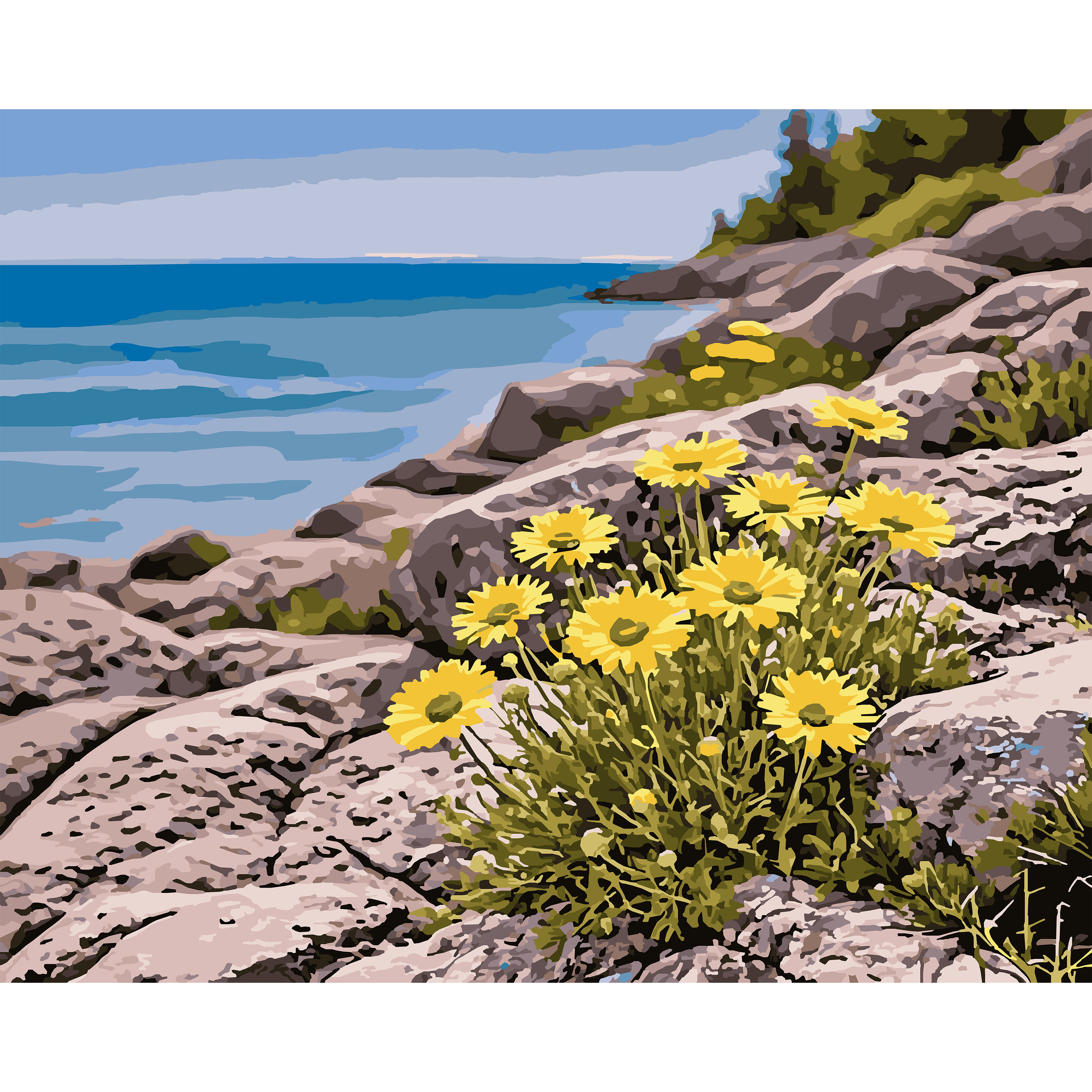 Enduring Light – Lakeside Daisy Michigan Flower Paint-By-Number Kit