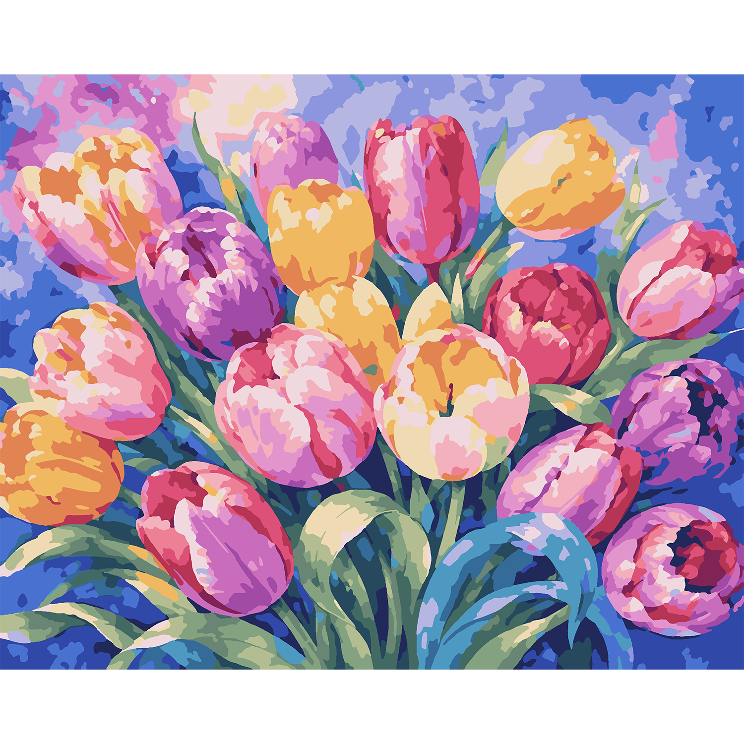 Tulip Radiance - Flower Paint-By-Number Kit