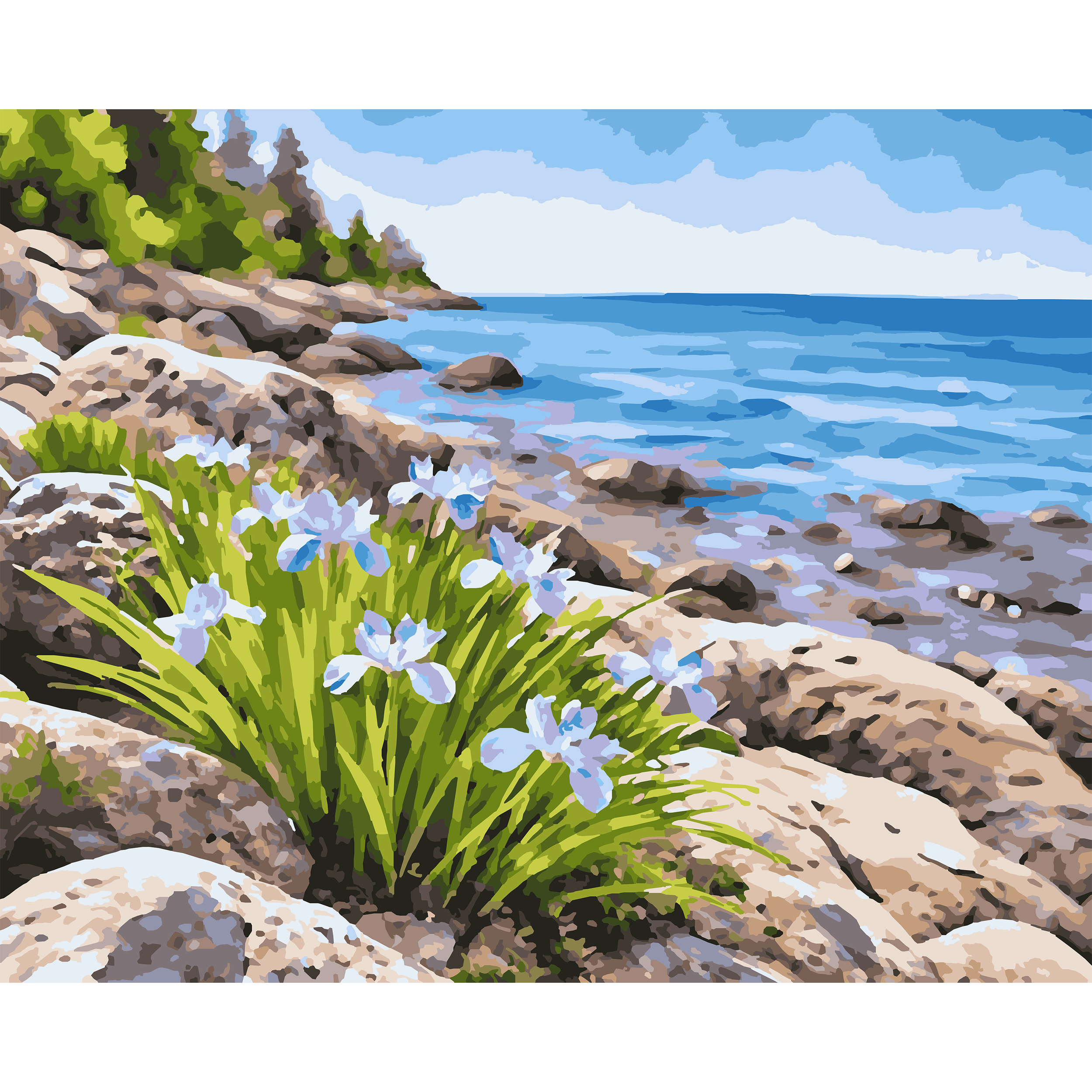 Lakeshore Bloom – Dwarf Lake Iris Michigan Flower Paint-By-Number Kit