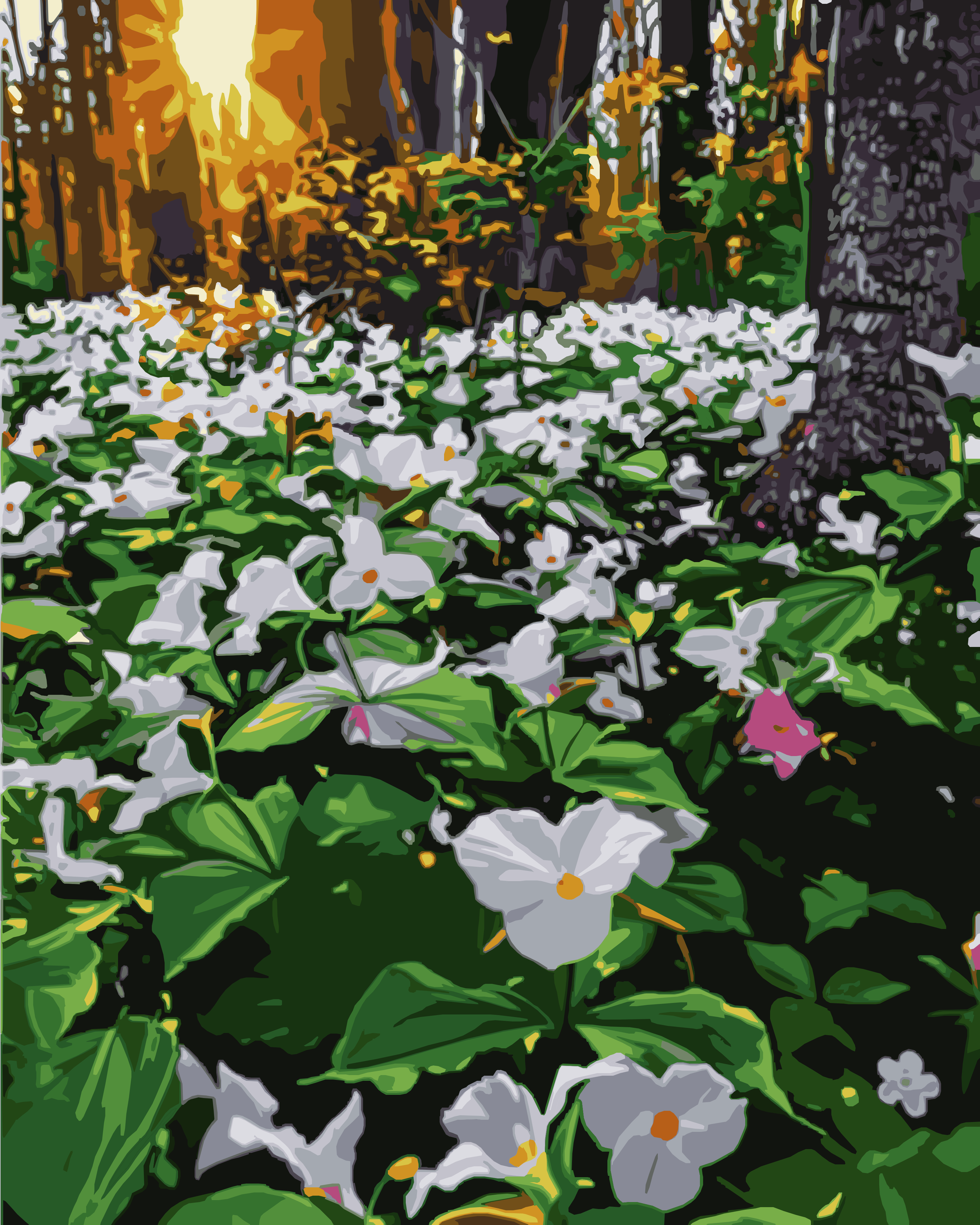 Field of Trilliums - Mackinac Island paint by numbers kit