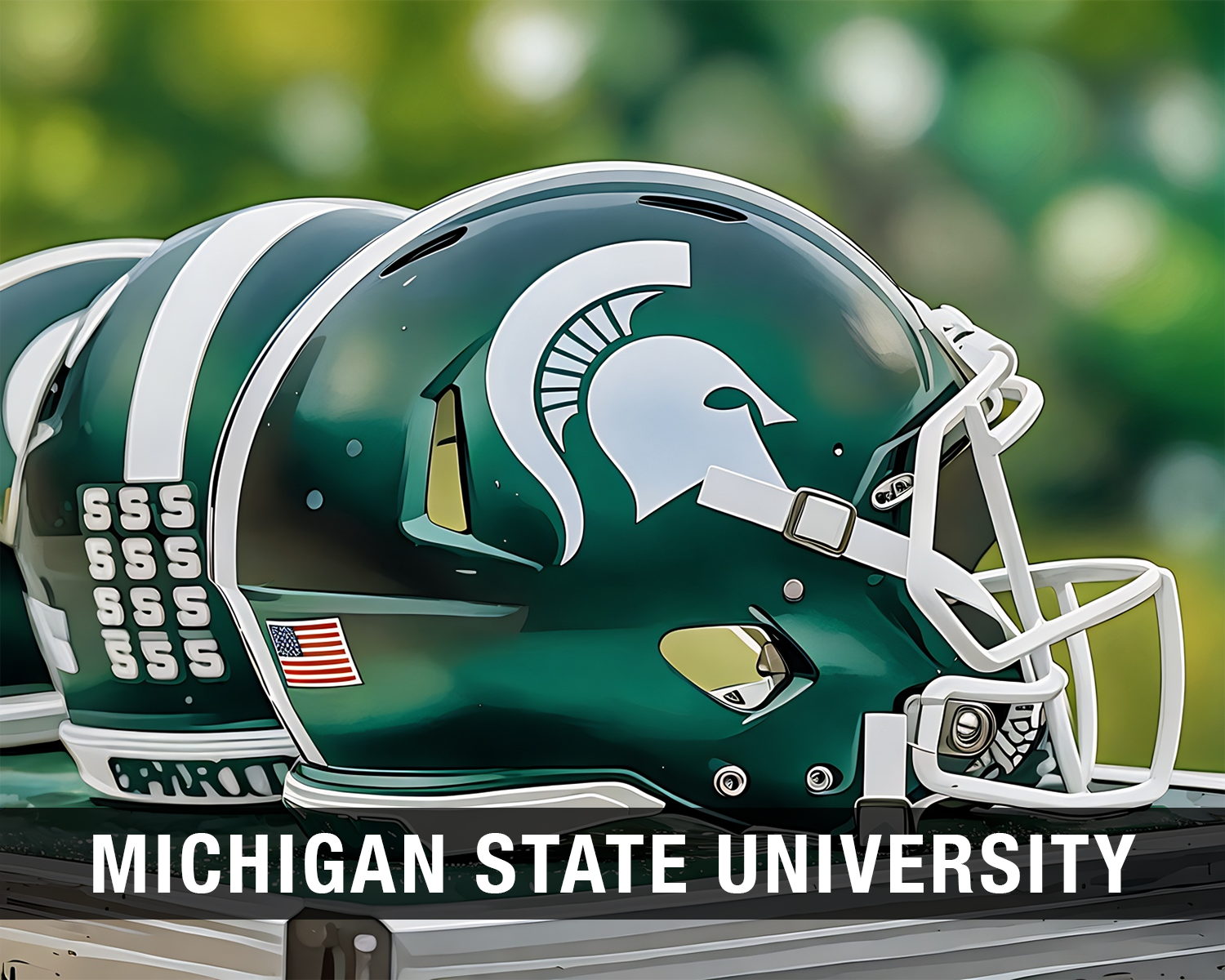 Michigan State University Paint-by-Number Kits