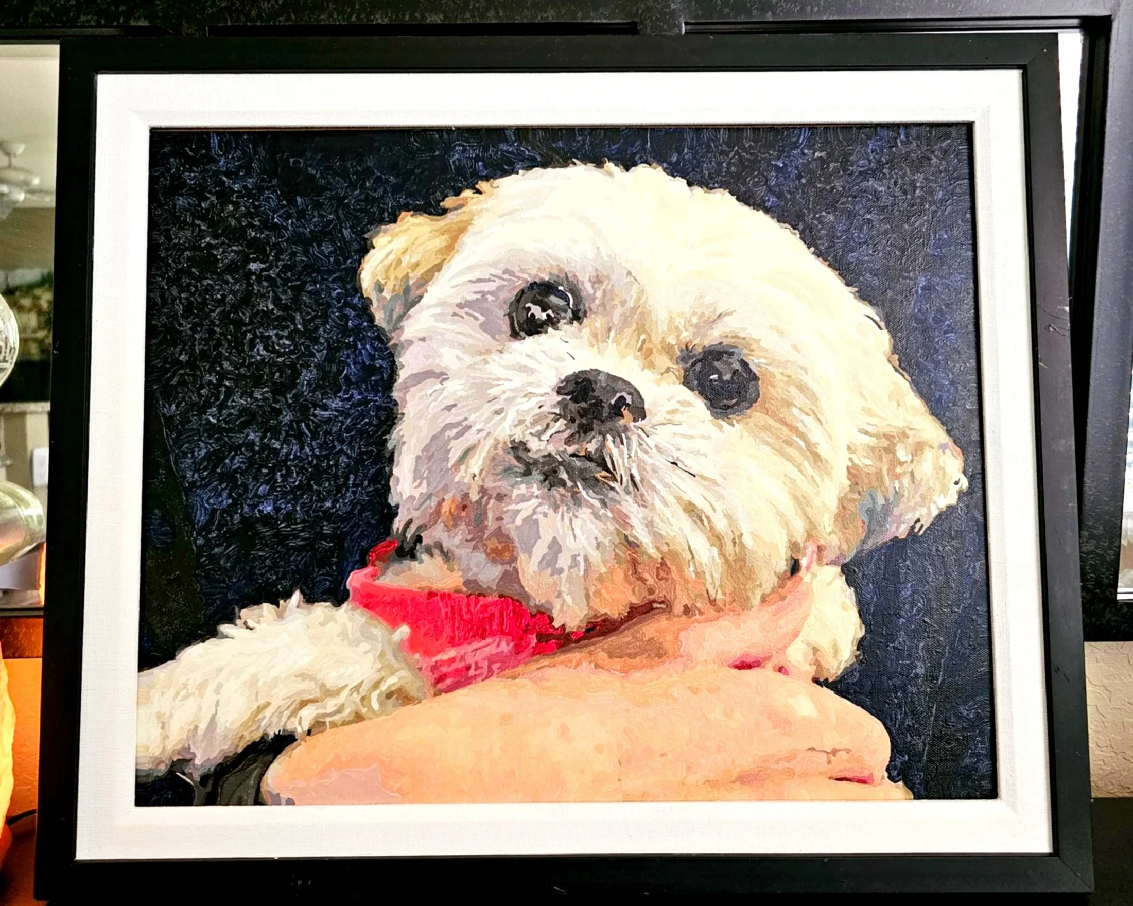 Custom Paint-by-Number Kit