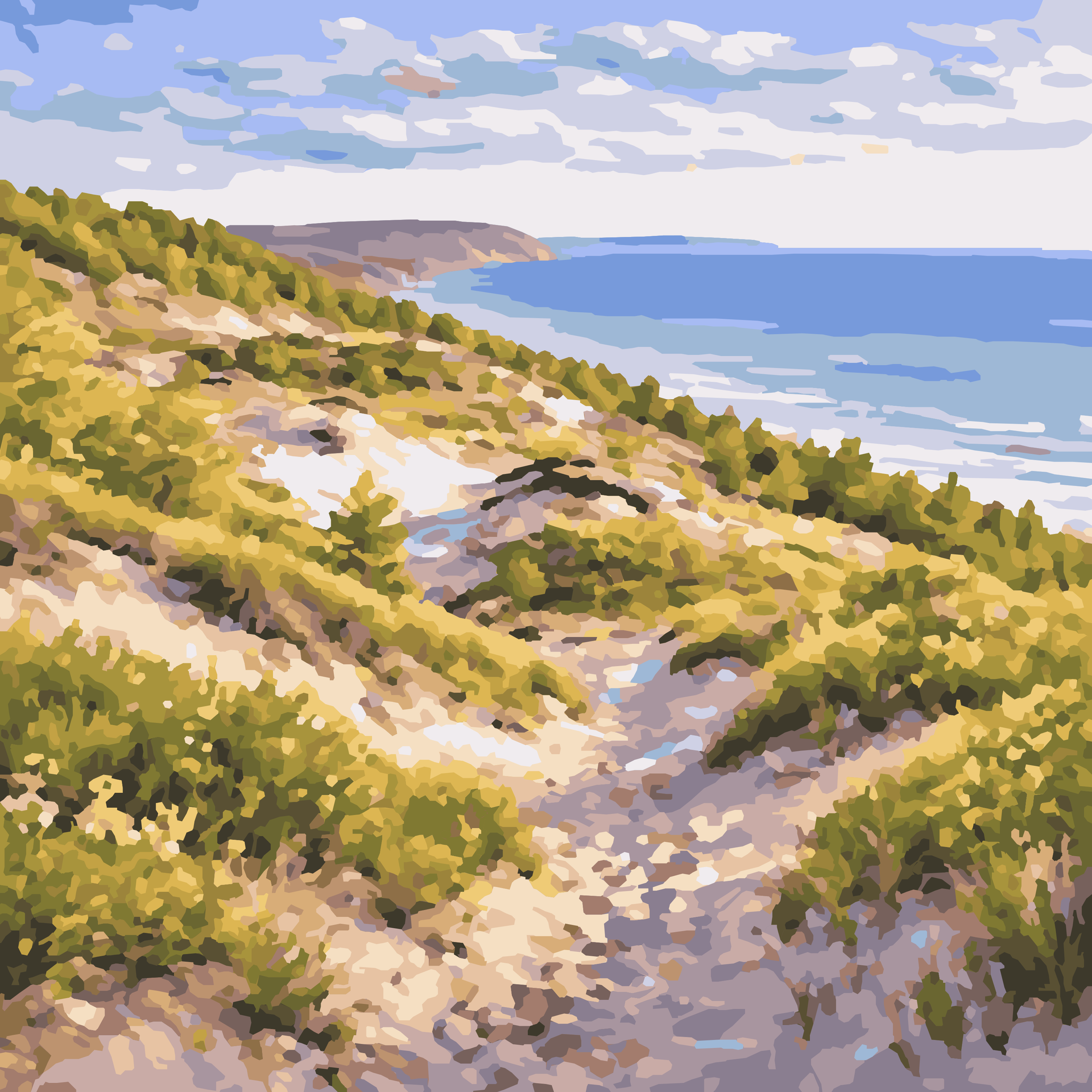 Sleeping Bear Dunes Lakeshore Path – 10x10 Mini Paint-by-Number Kit