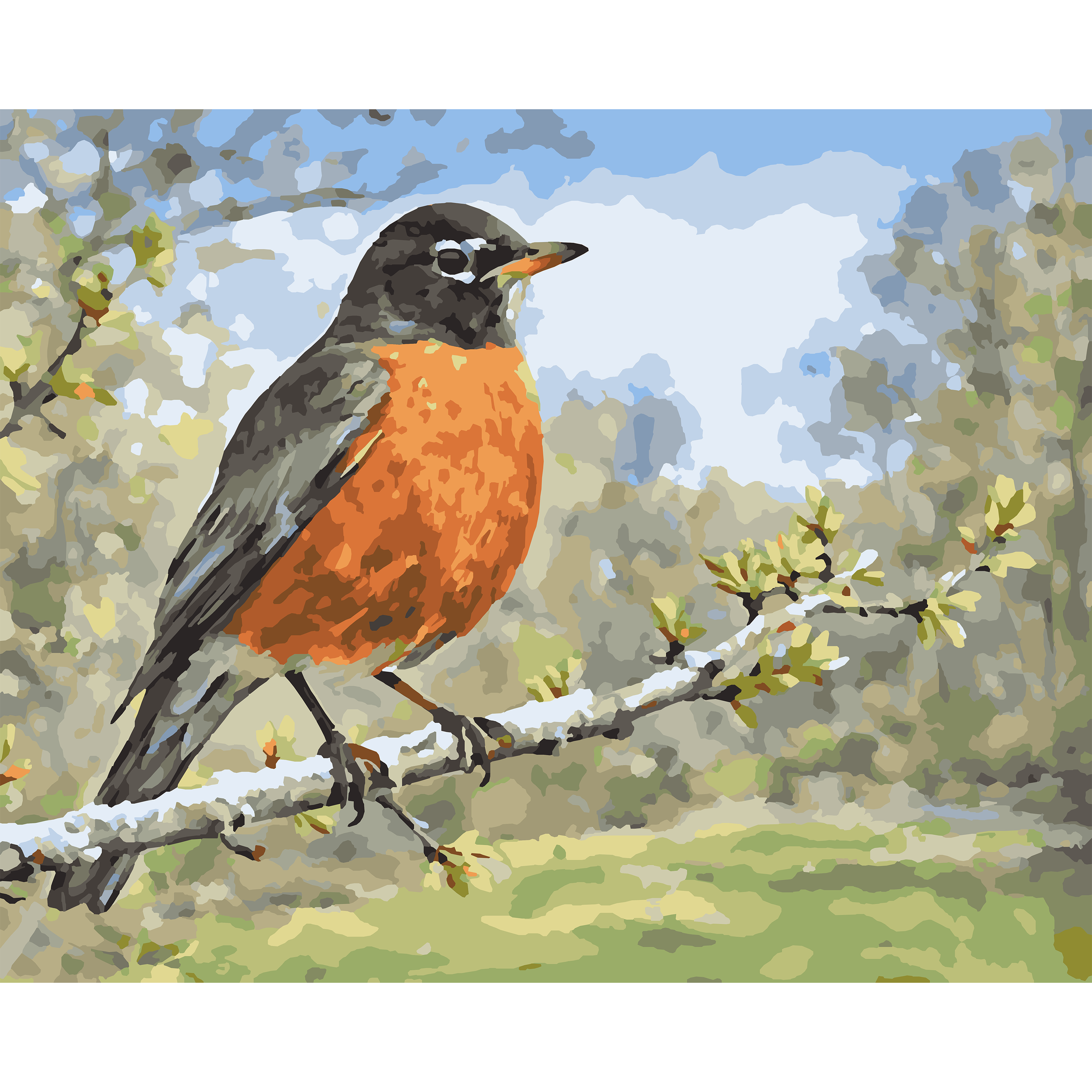 American Robin at First Spring Buds - Michigan Paint-By-Number Kit