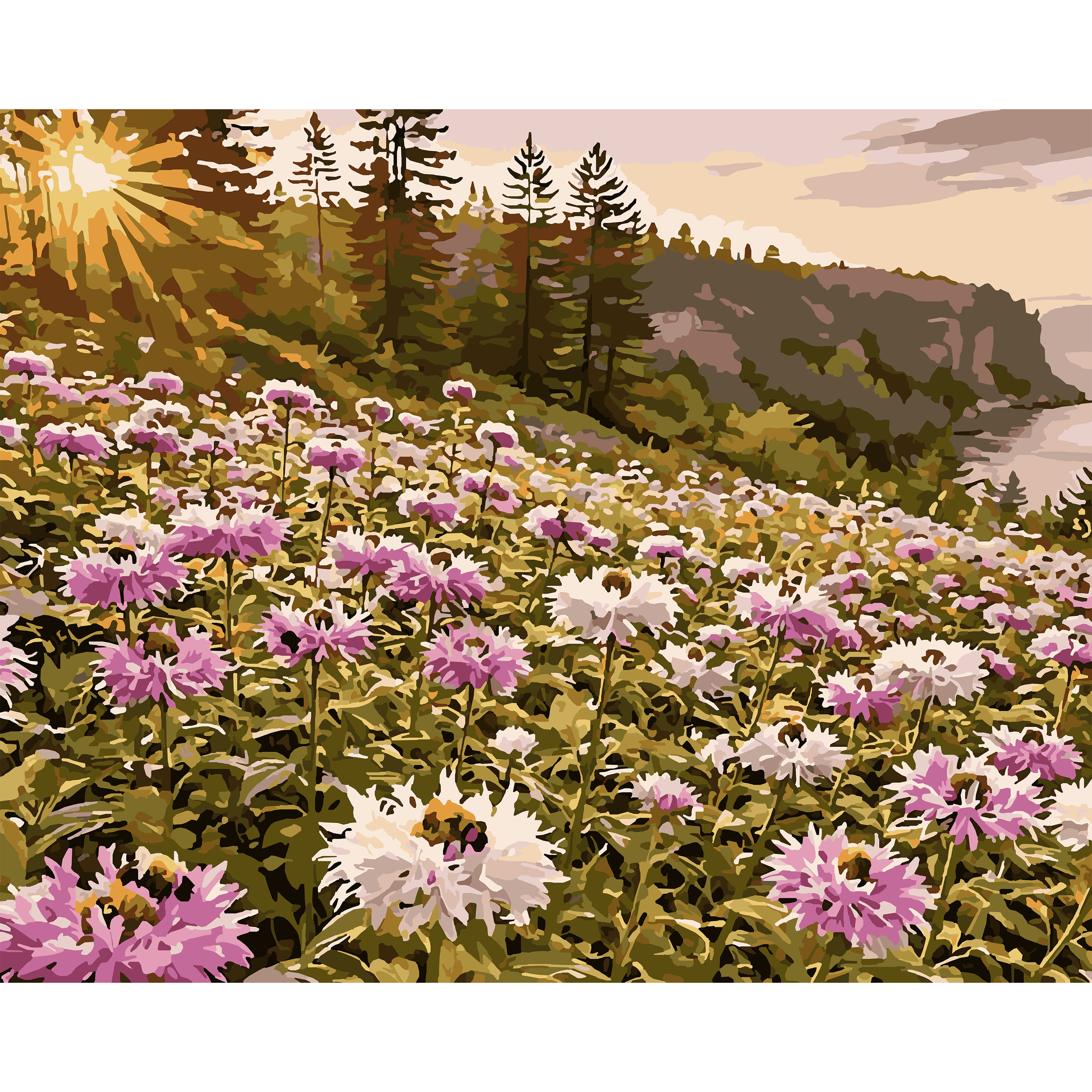 Sunlit Meadow – Wild Bergamot Michigan Flower Paint-By-Number Kit