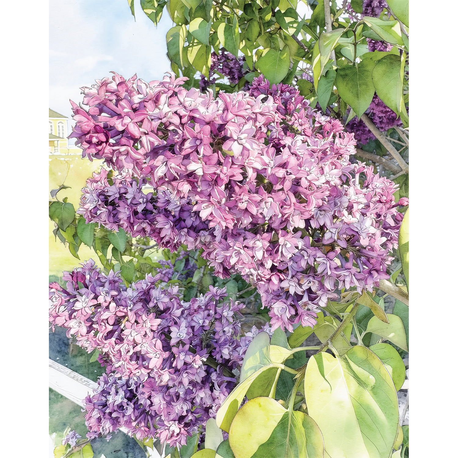 Lilac Light on Mackinac – Giclée Fine Art Print