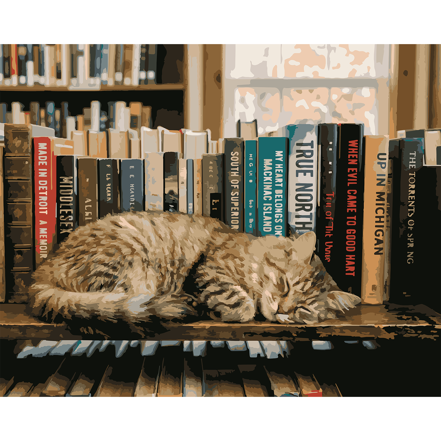 Stories of the Mitten: A Library Cat Paint-By-Number Kit