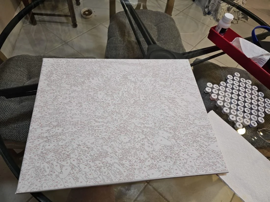 Custom Paint-by-Number Kit Made in USA