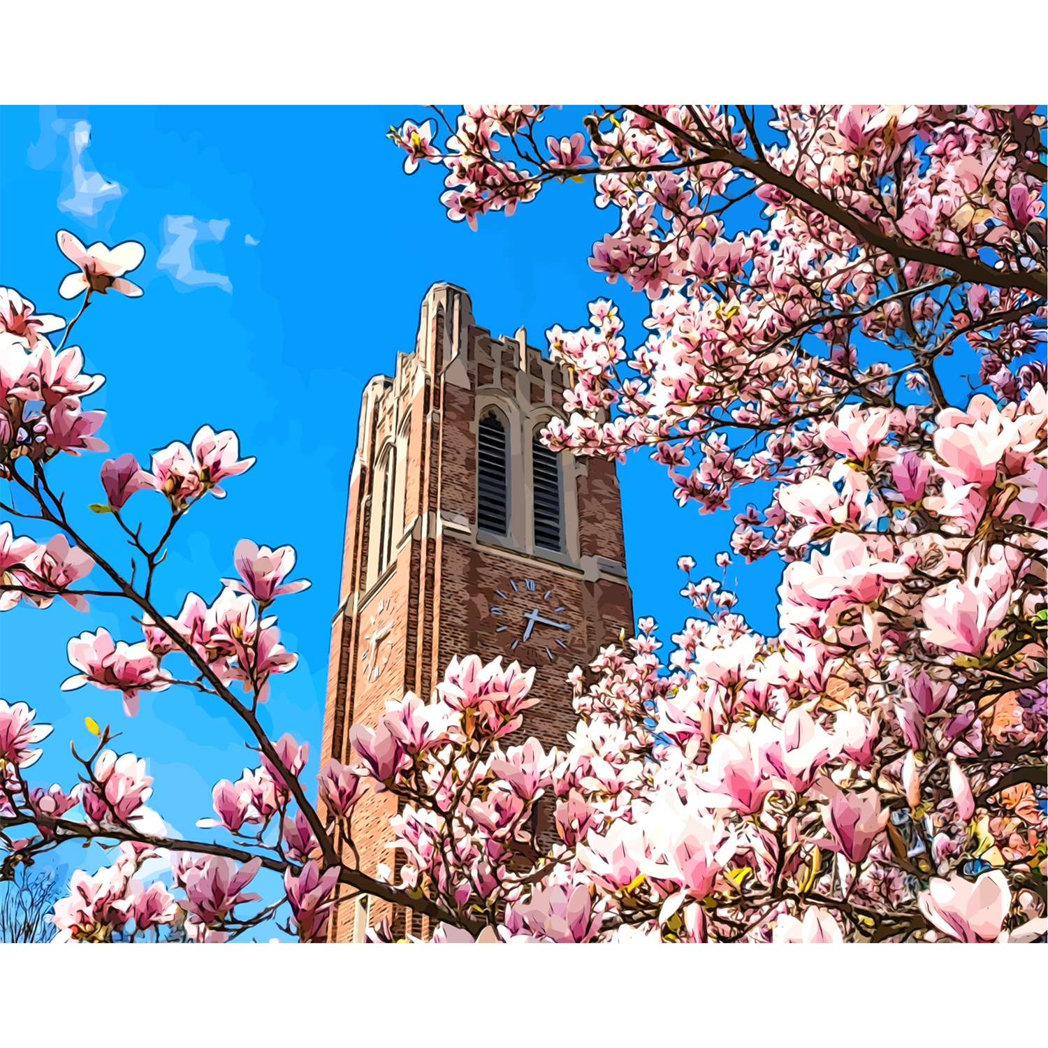 Magnolias at Beaumont Tower — Michigan State University® Paint-by-Number Kit